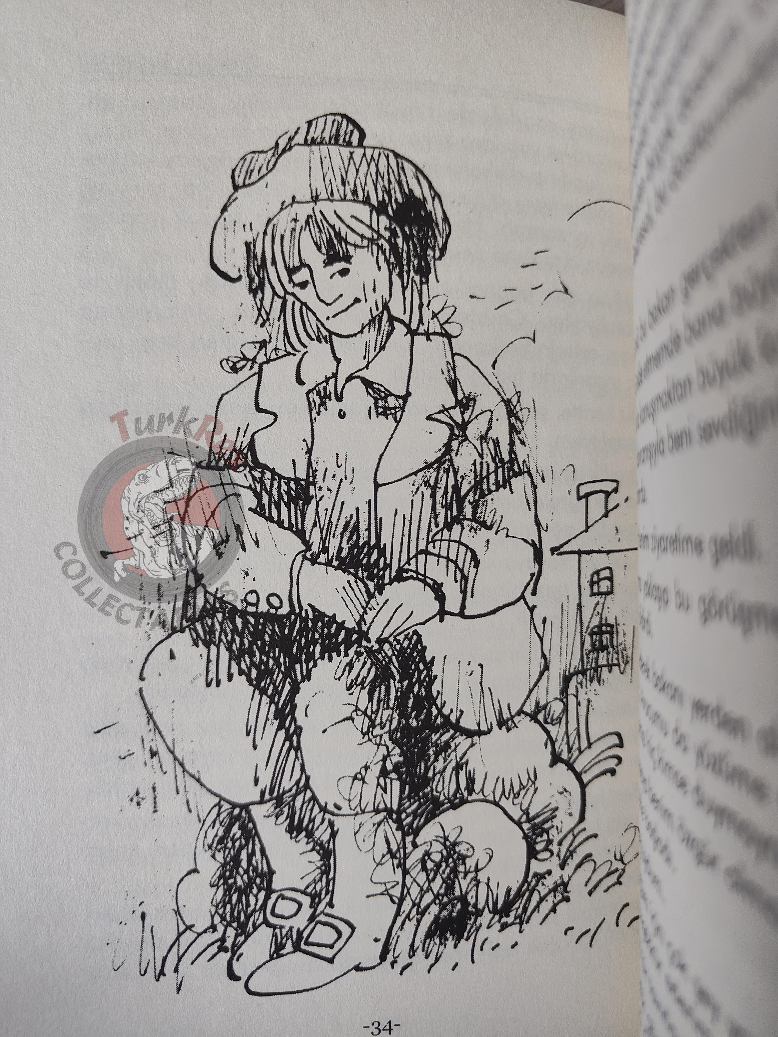 Jonathan Swift – Gulliver's Travels 2011 Turkish Book Turkey Illustrated 2