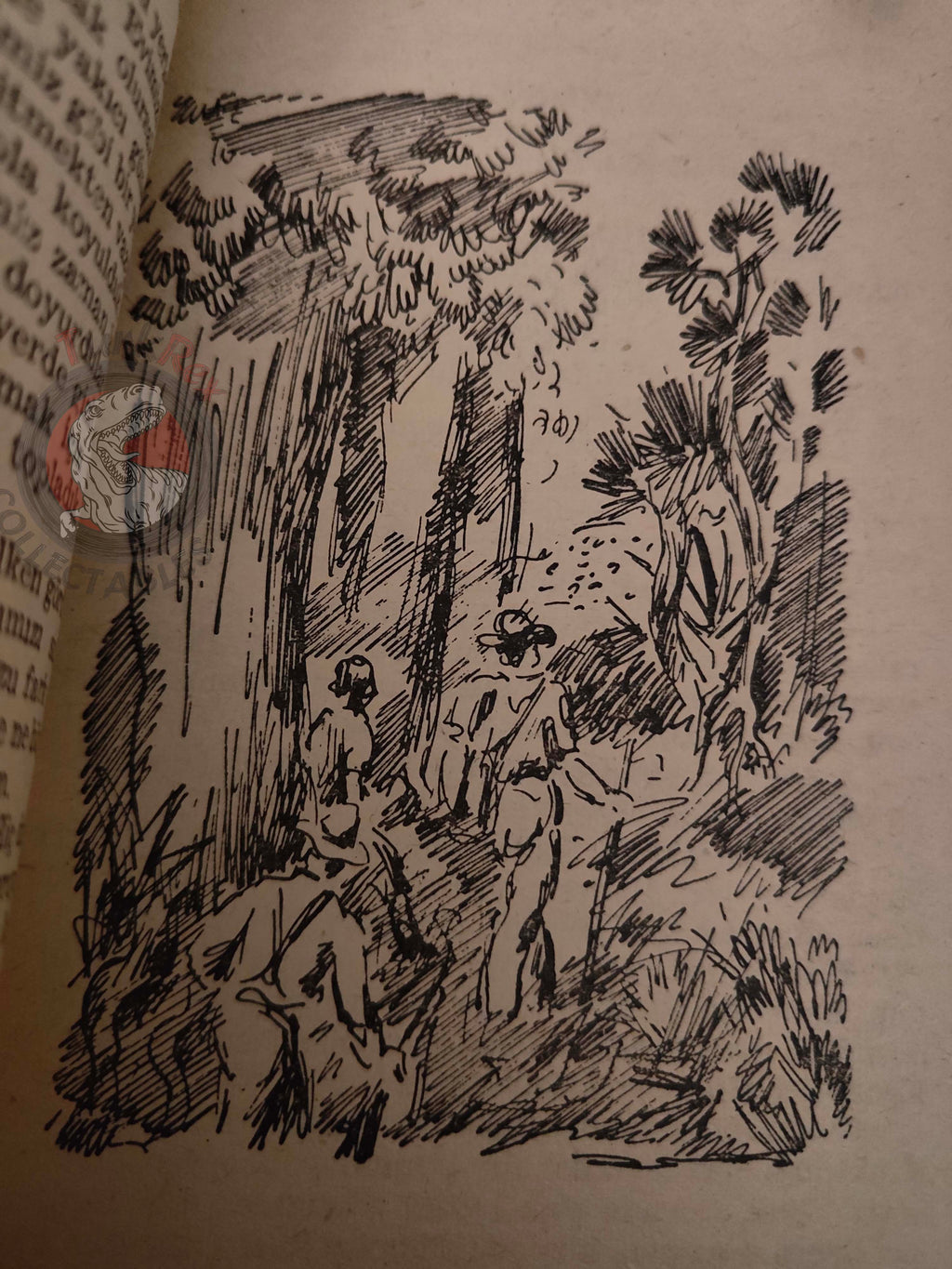 Johann David Wyss – The Swiss Family Robinson 1957 Turkish Book Turkey Illustrated