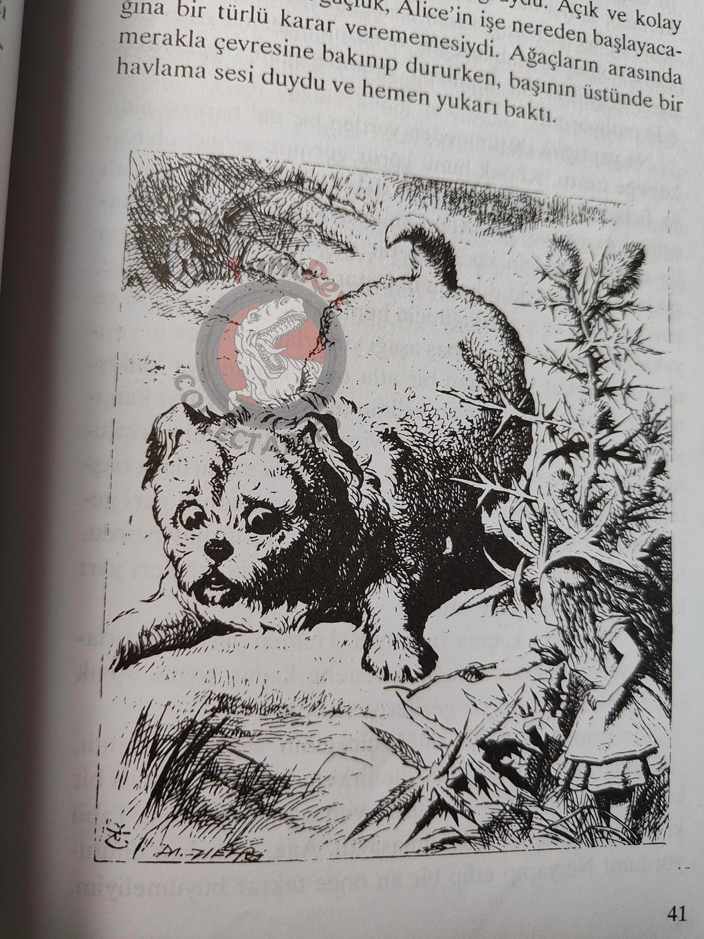 Lewis Carroll – Alice in Wonderland 2000 Turkish Book Turkey Illustrated John Tenniel
