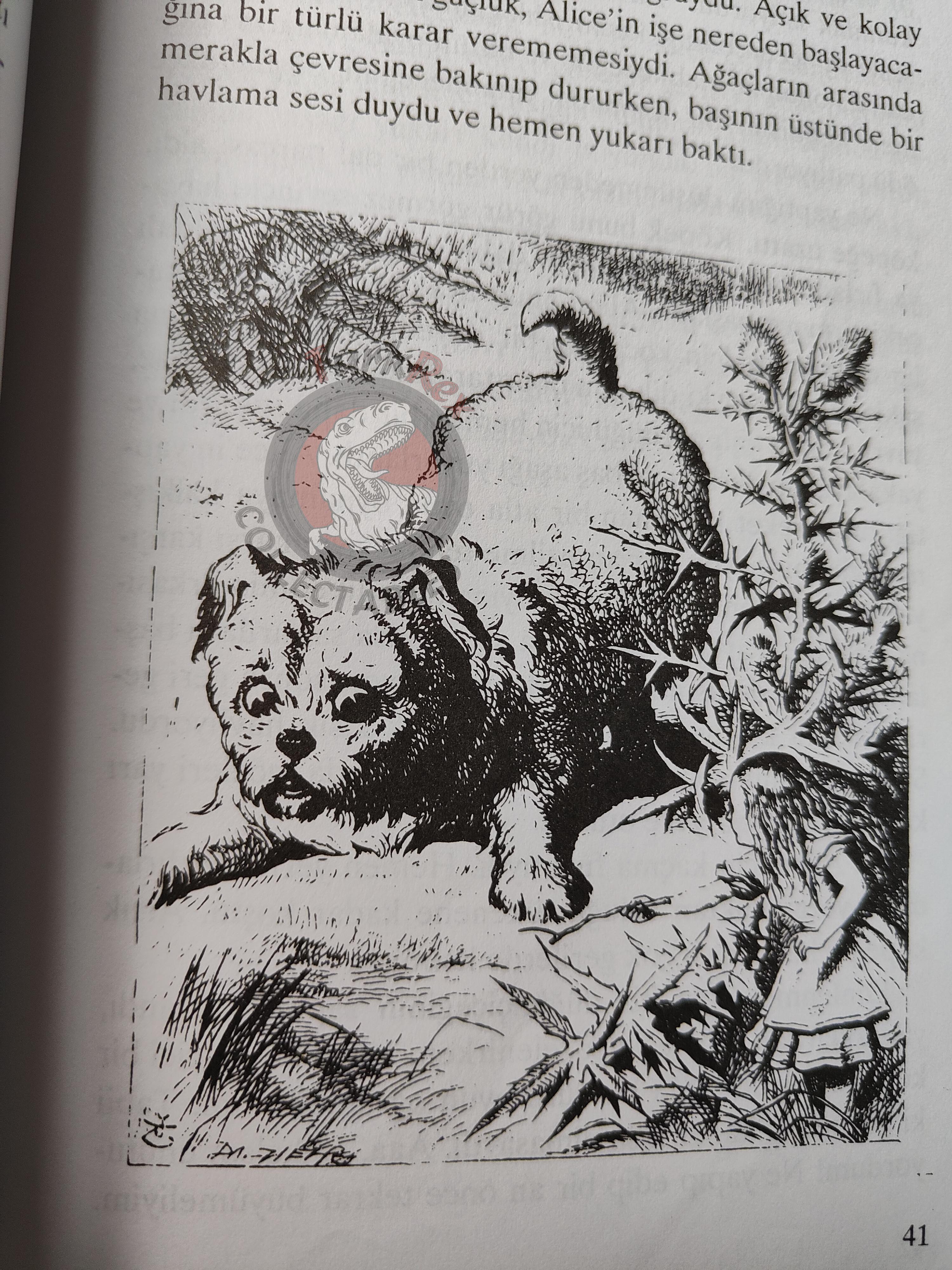 Lewis Carroll – Alice in Wonderland 2000 Turkish Book Turkey Illustrated John Tenniel