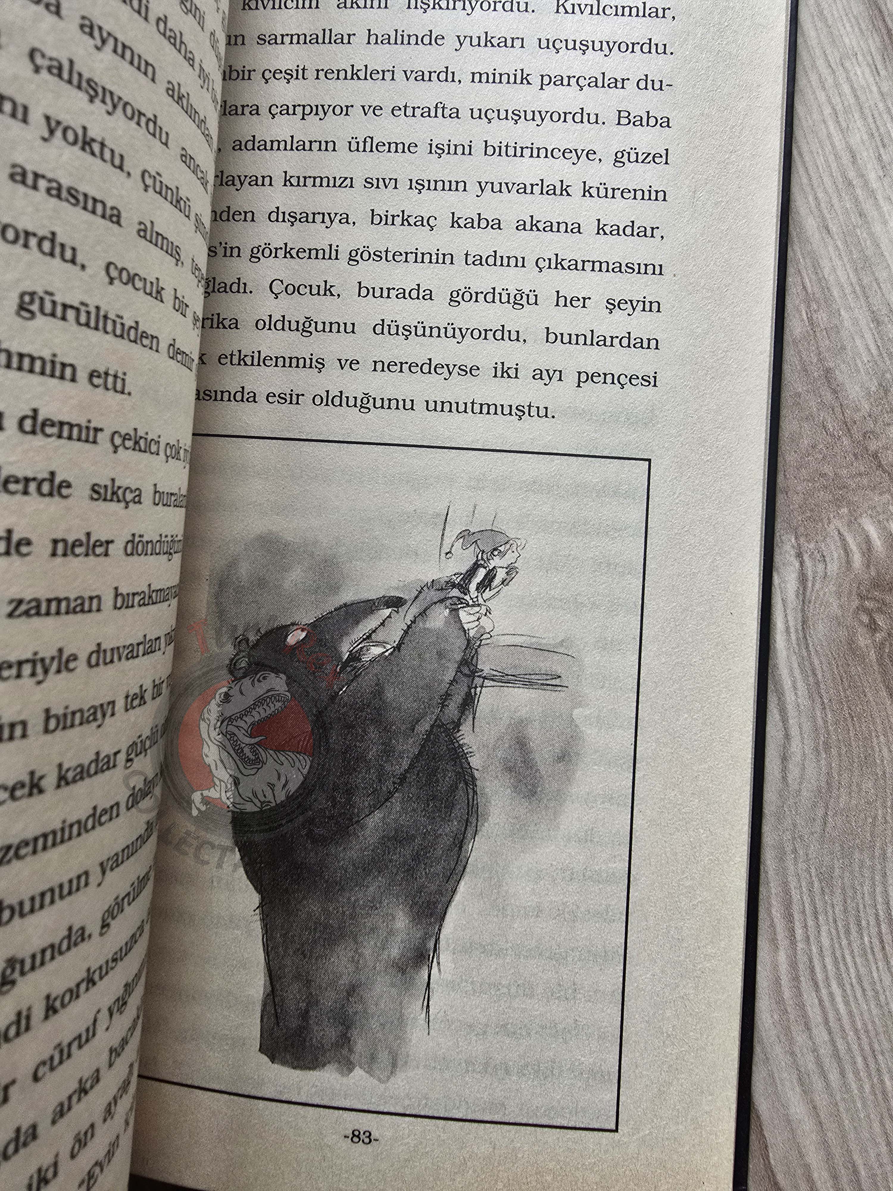 Selma Lagerlöf – The Wonderful Adventures Of Nils 2005 Illustrated Turkish Book Turkey