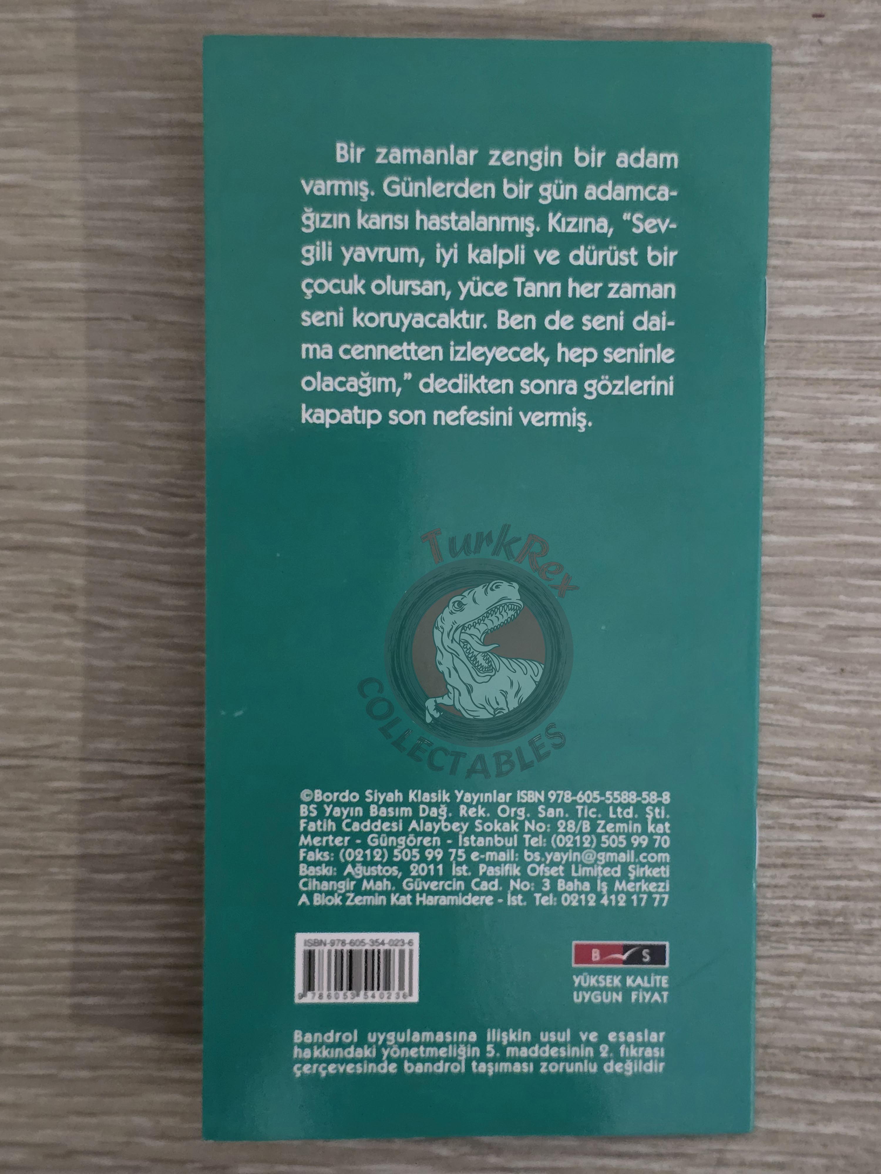 Grimm Brothers – Cinderella 2011 Turkish Book Turkey Illustrated 2