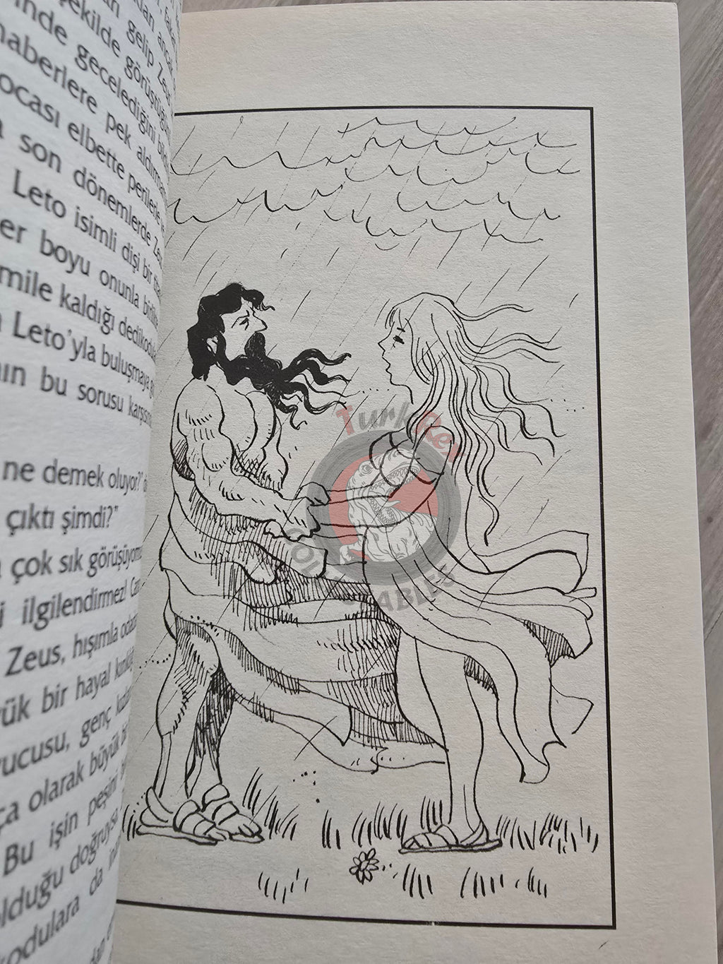 Hera – Robert Krugmann 2003 Turkish Book Turkey Illustrated by Turkish Artist