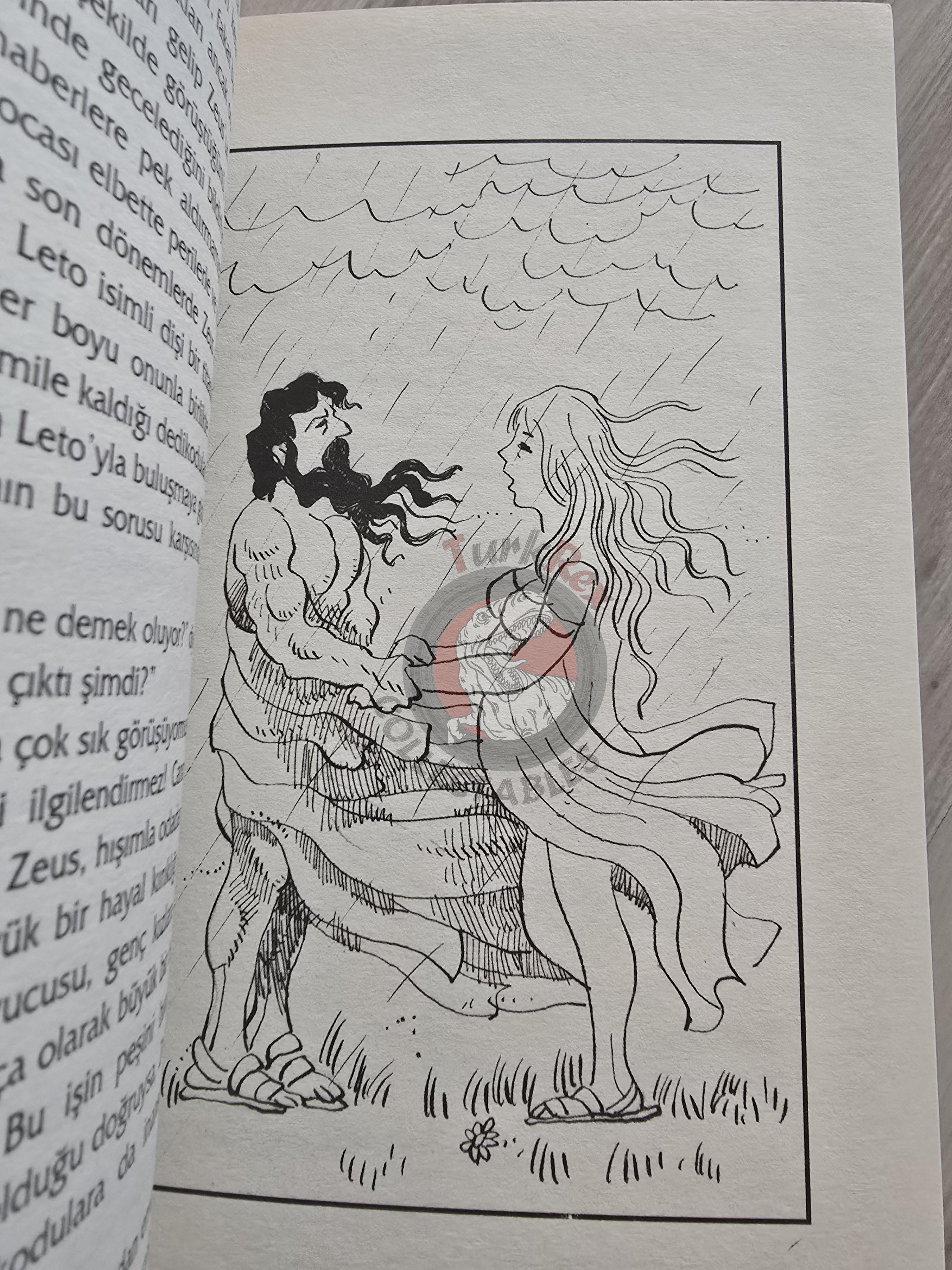 Hera – Robert Krugmann 2003 Turkish Book Turkey Illustrated by Turkish Artist
