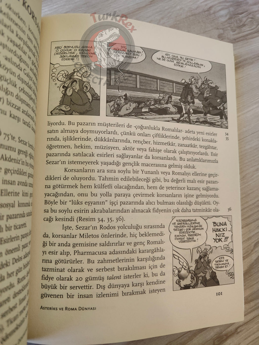 Asterix and the Roman World - Kai Brodersen 2002 Turkish Comic Turkey Book