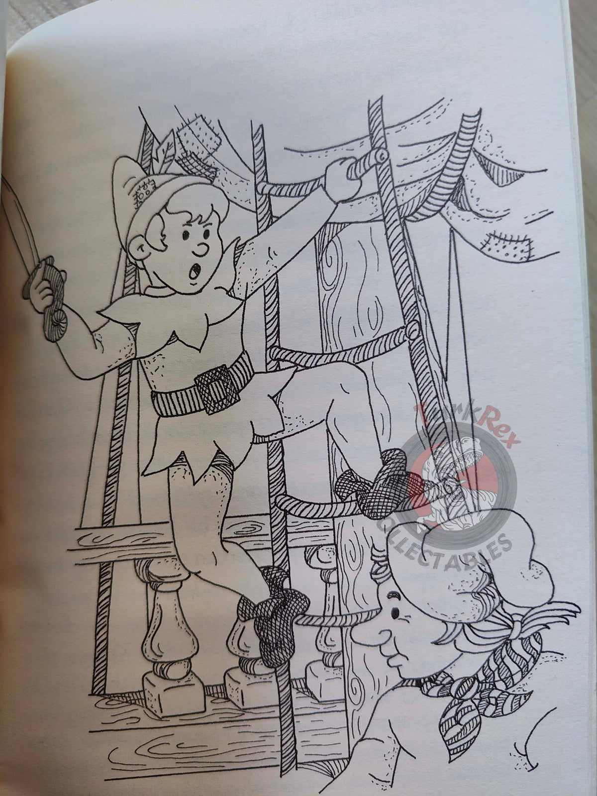 J. M. Barrie – Peter Pan 2009 Turkish Book Turkey Illustrated 4