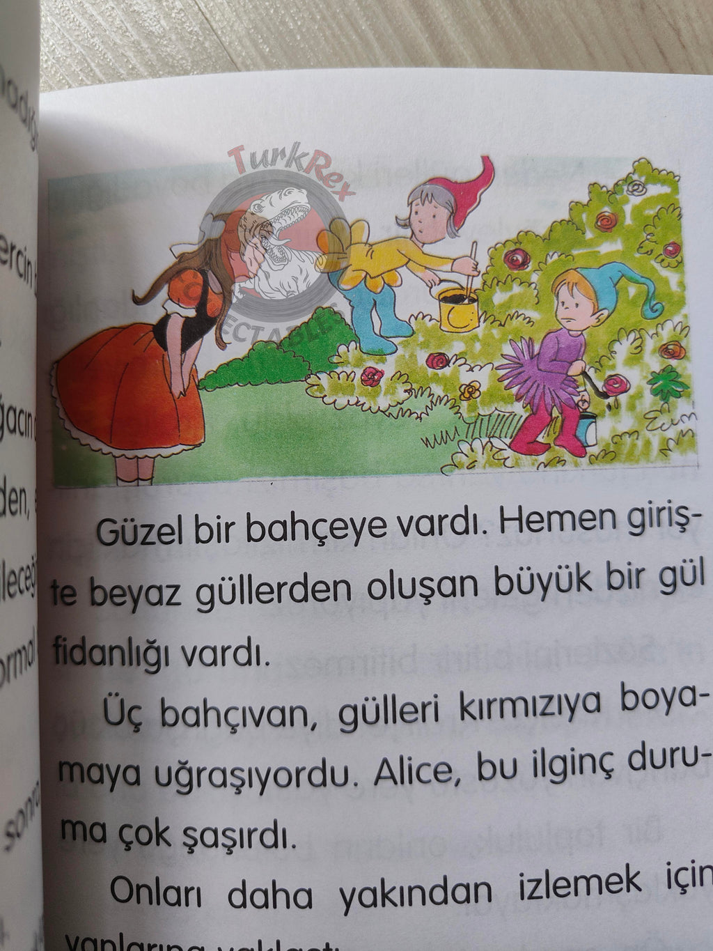 Lewis Carroll – Alice in Wonderland 2001 Turkish Book Turkey Illustrated