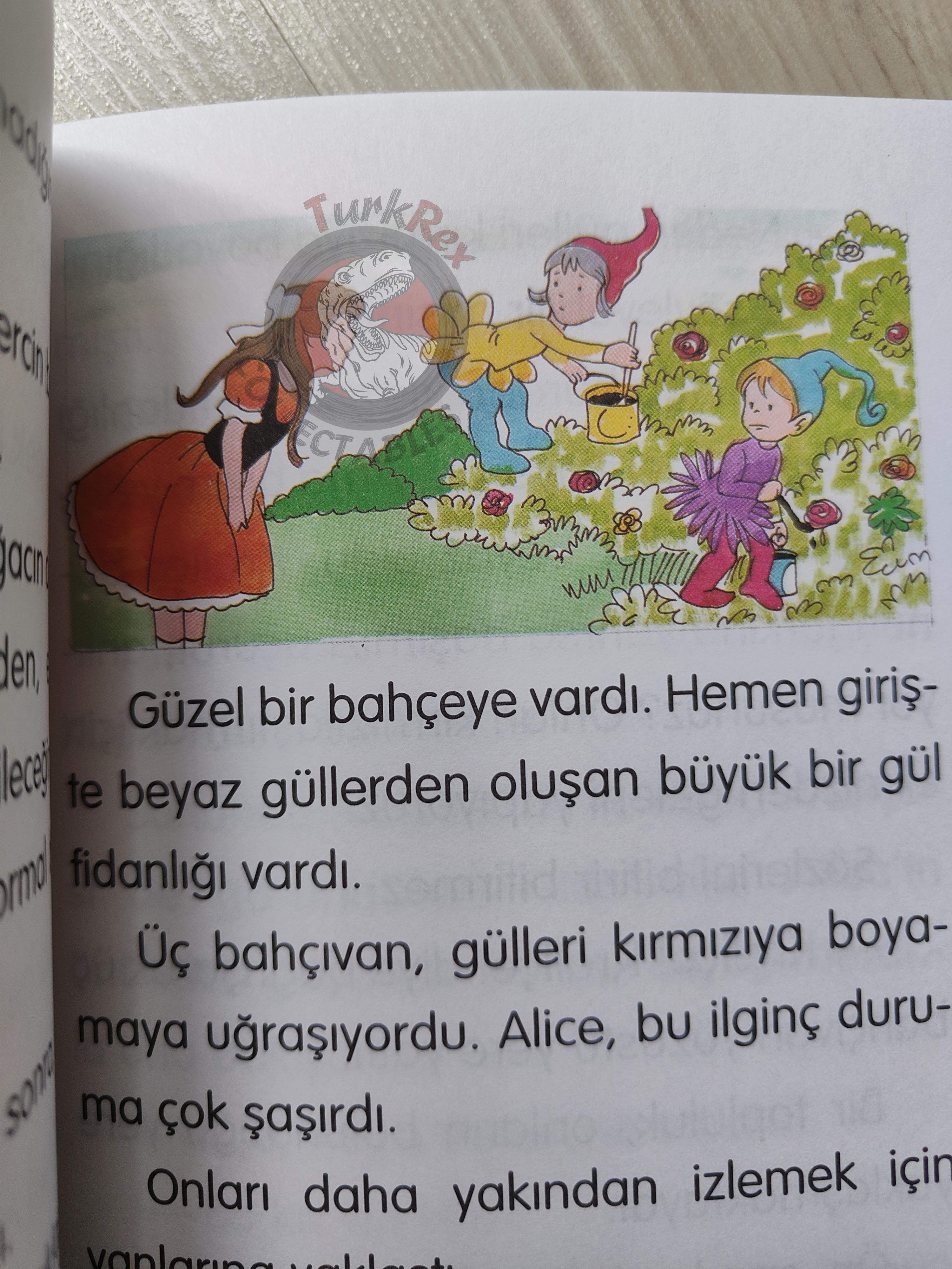 Lewis Carroll – Alice in Wonderland 2001 Turkish Book Turkey Illustrated