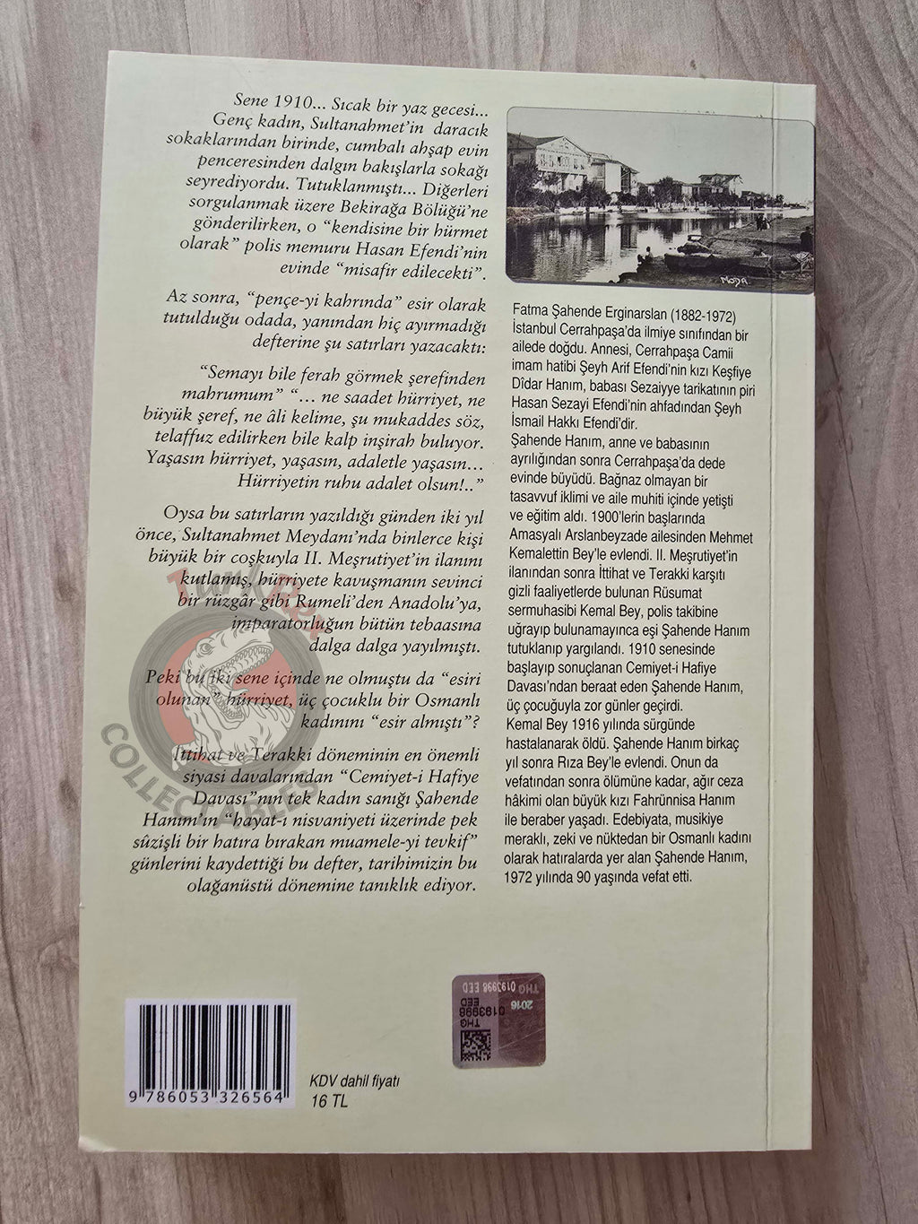 The Only Female Defendant of the 1910 Secret Society Case 2016 Turkish Book Turkey