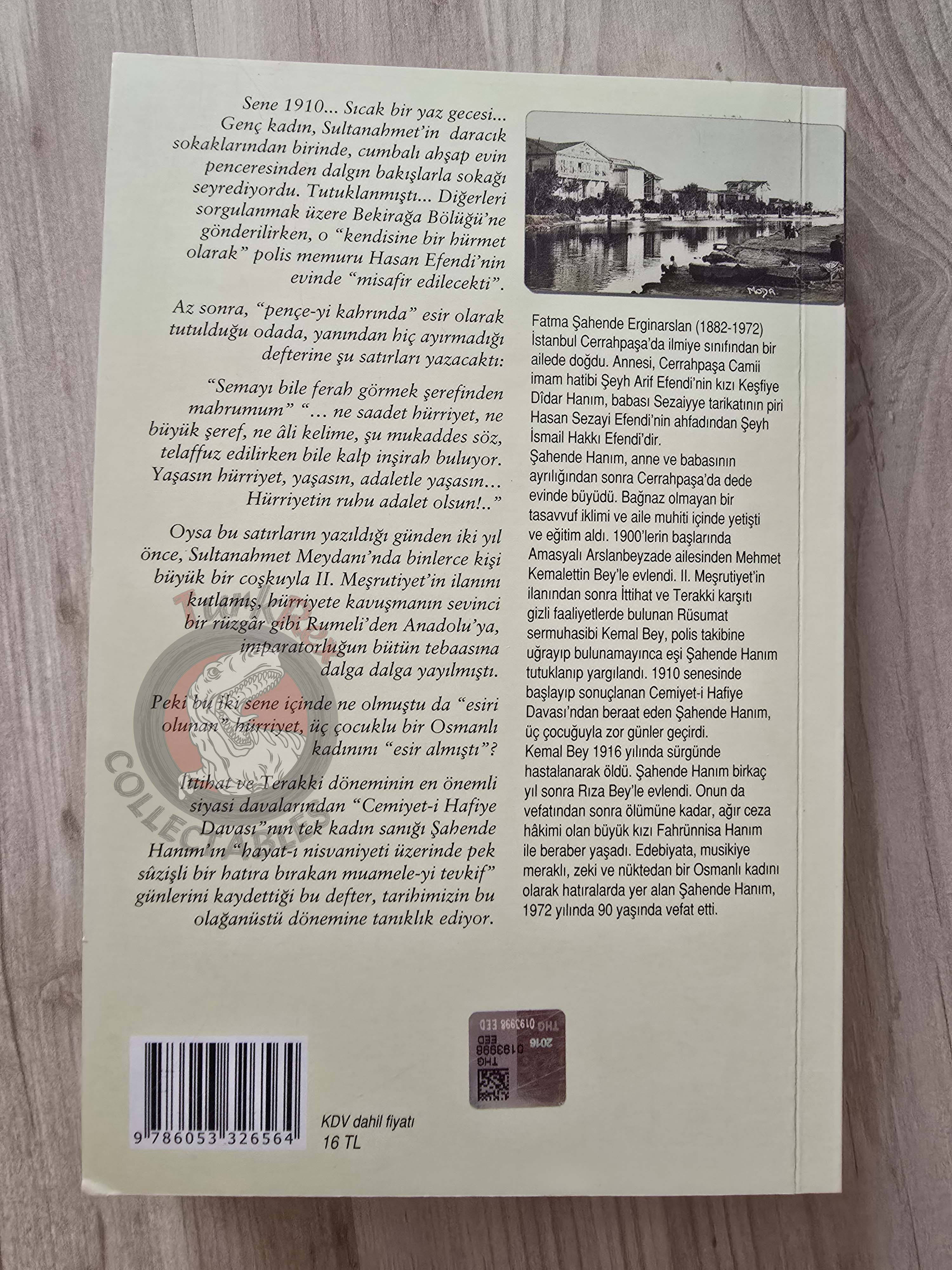 The Only Female Defendant of the 1910 Secret Society Case 2016 Turkish Book Turkey