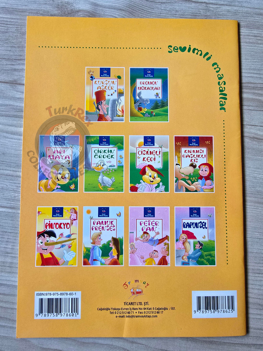 Hans Christian Andersen –  The Steadfast Tin Soldier 2011 Turkish Book Turkey Illustrated