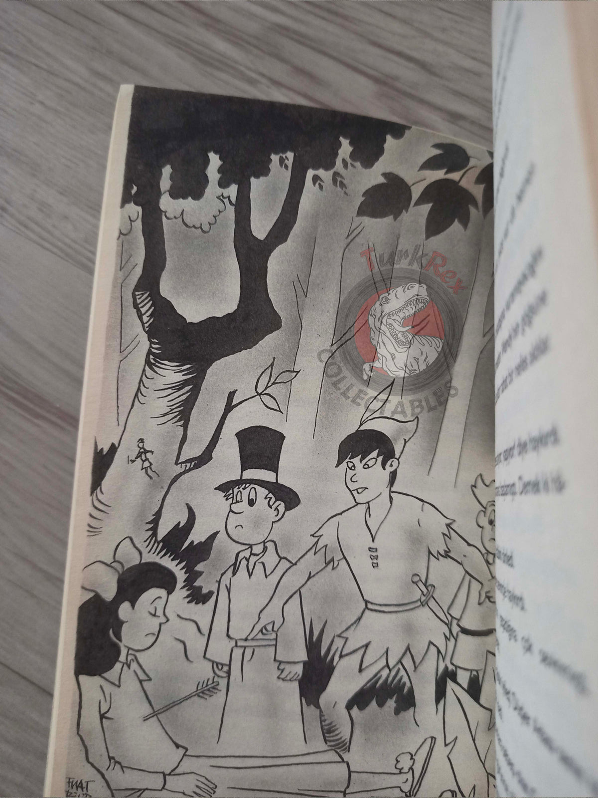 J. M. Barrie – Peter Pan 2005 Turkish Book Turkey Illustrated 1