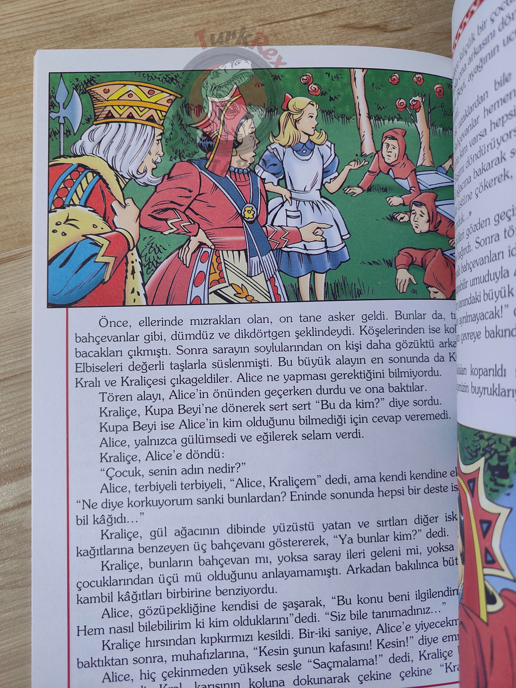 Lewis Carroll – Alice in Wonderland 2011 Turkish Book Turkey Illustrated 1