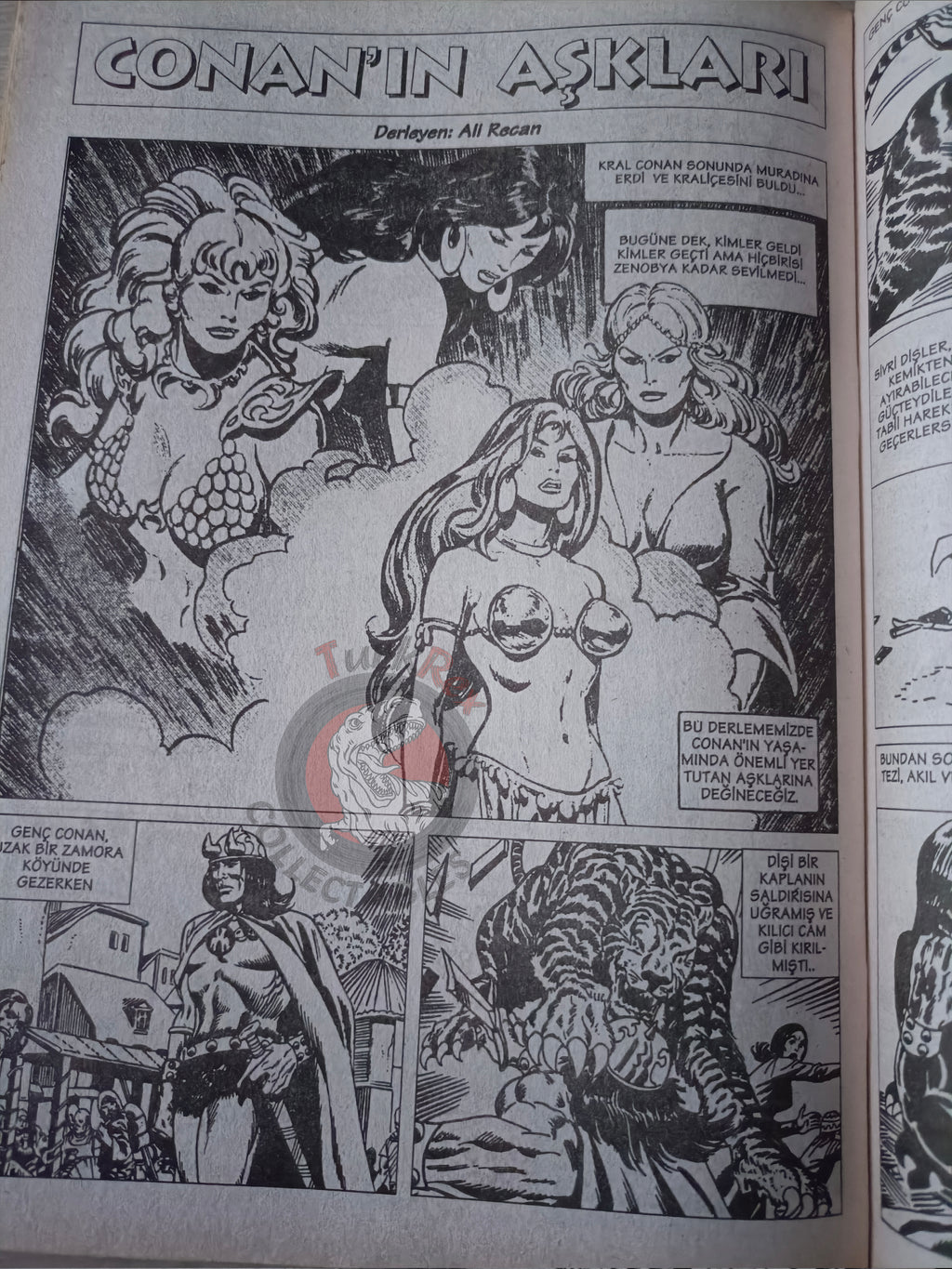 Kral Conan #13 The Barbarian King-Size Annual #5 Turkish Comic Turkey The Savage Sword of #194