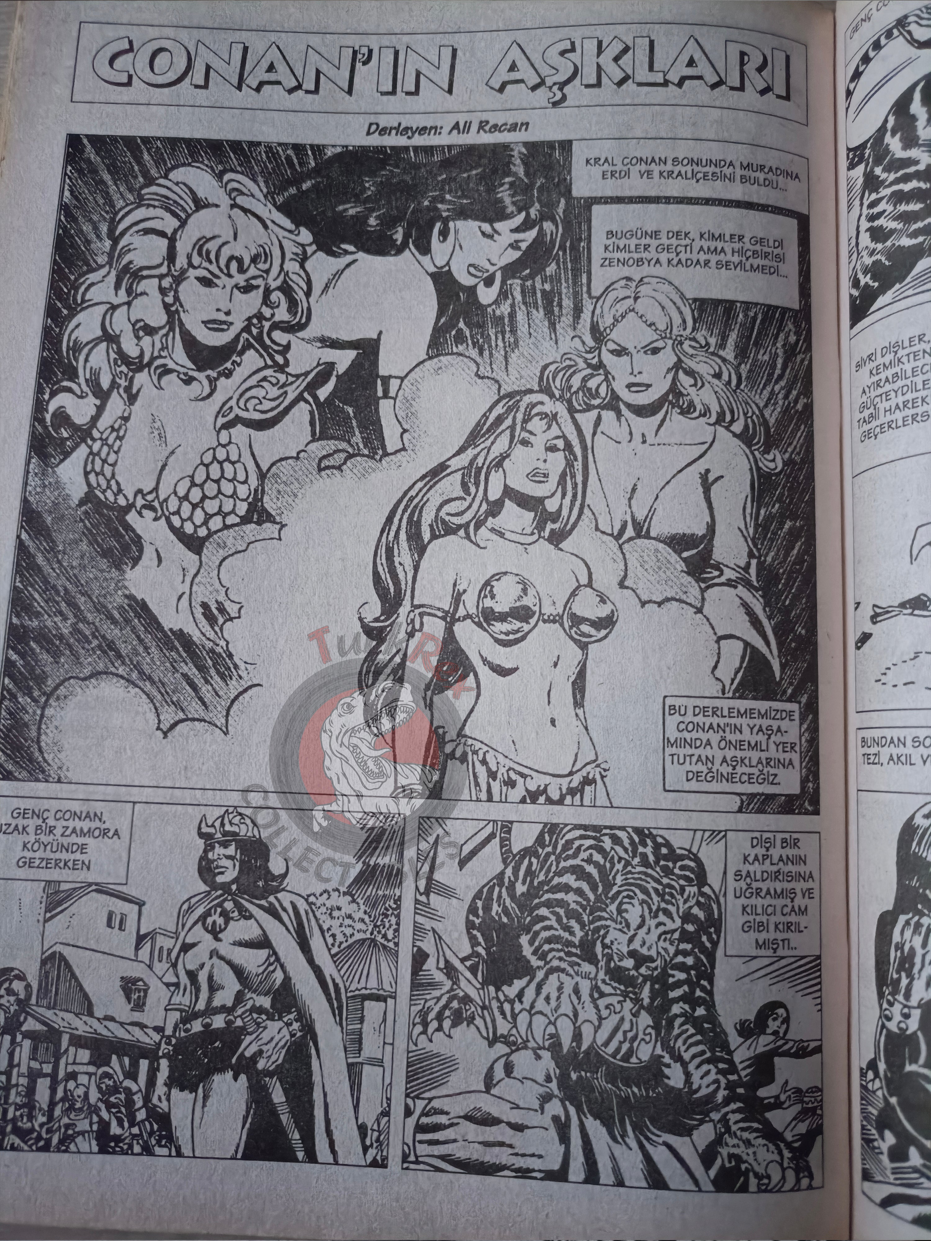 Kral Conan #13 The Barbarian King-Size Annual #5 Turkish Comic Turkey The Savage Sword of #194