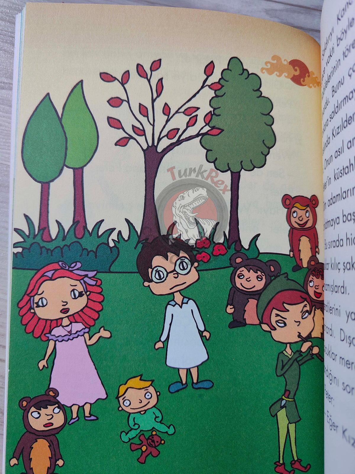 J. M. Barrie – Peter Pan 2009 Turkish Book Turkey Illustrated 5