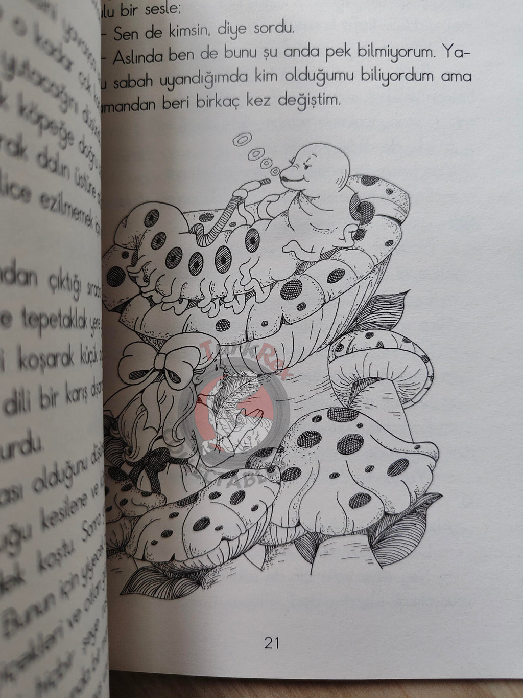 Lewis Carroll – Alice in Wonderland 2009 Turkish Book Turkey Illustrated