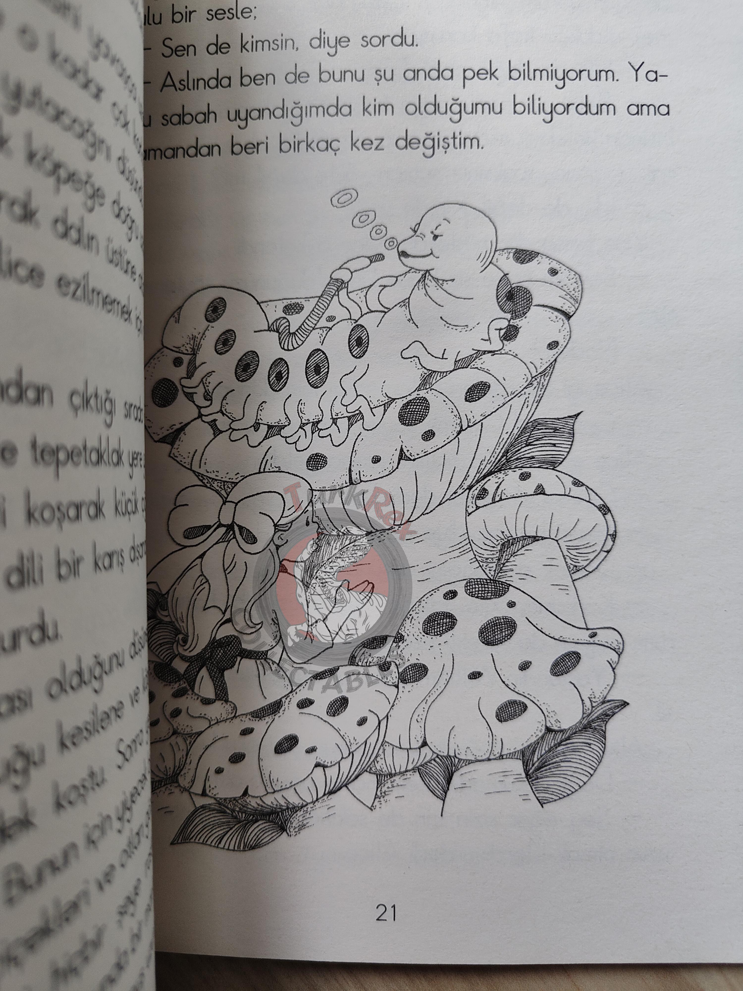 Lewis Carroll – Alice in Wonderland 2009 Turkish Book Turkey Illustrated