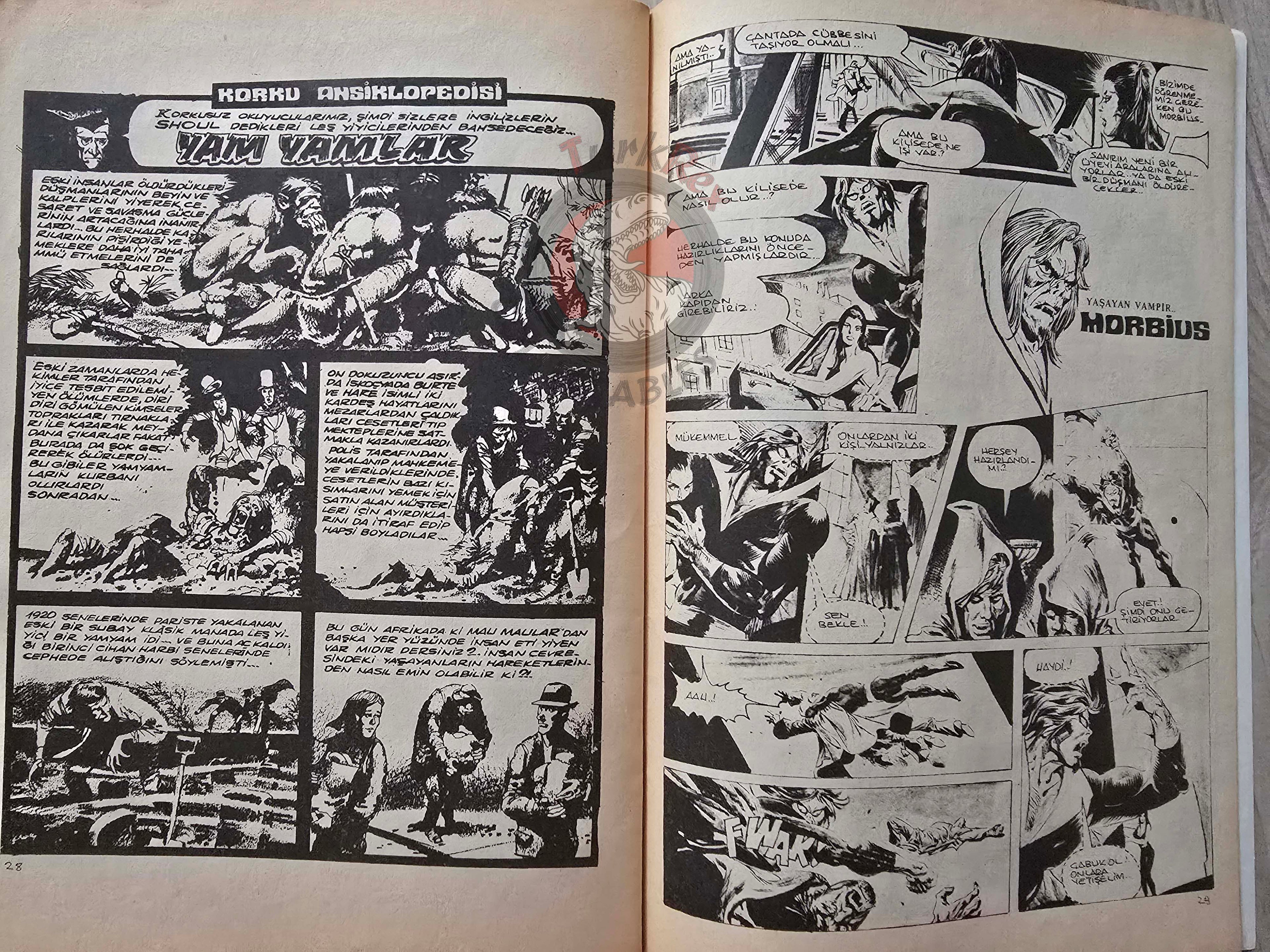 Vampirella #14 1977 Turkish Comic Turkey Warren Publishing cover #47 #50 Morbius Eerie