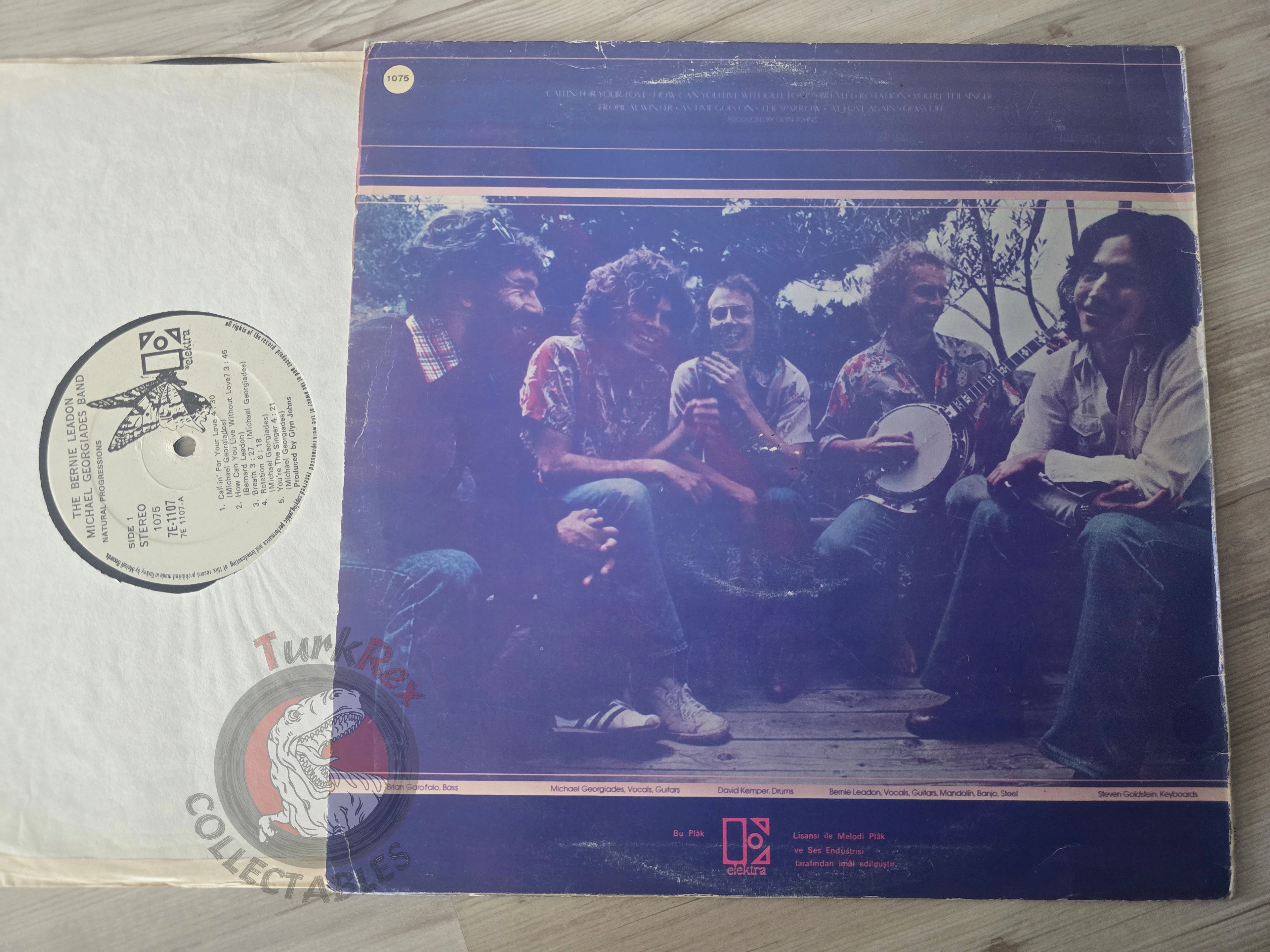 The Bernie Leadon - Michael Georgiades Band – Natural Progressions Turkish Pressing Vinyl Turkey Edition