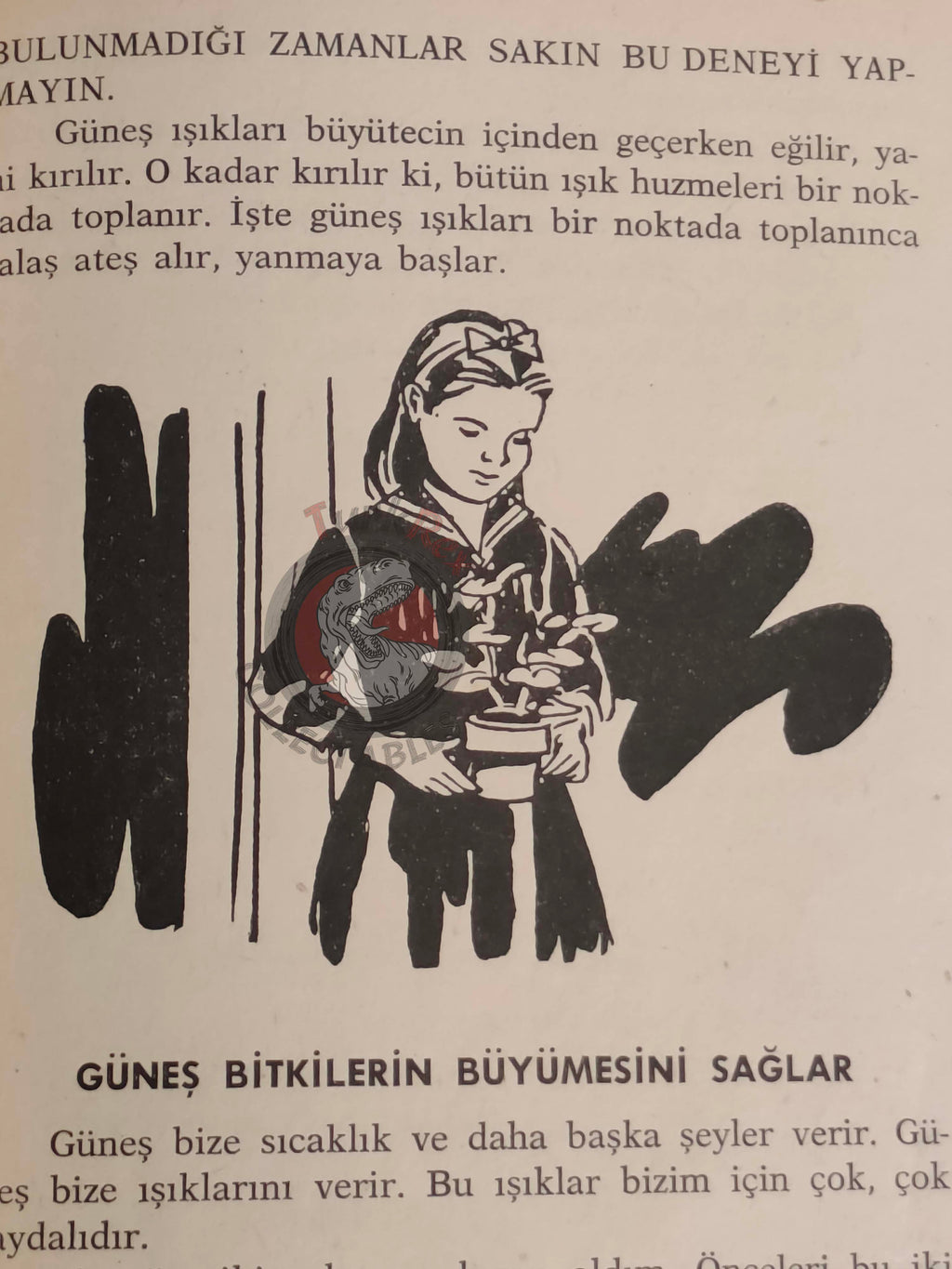 Bertha Morris Parker – Basic Science Education Series 1969 Turkish Book Turkey Sound Sun
