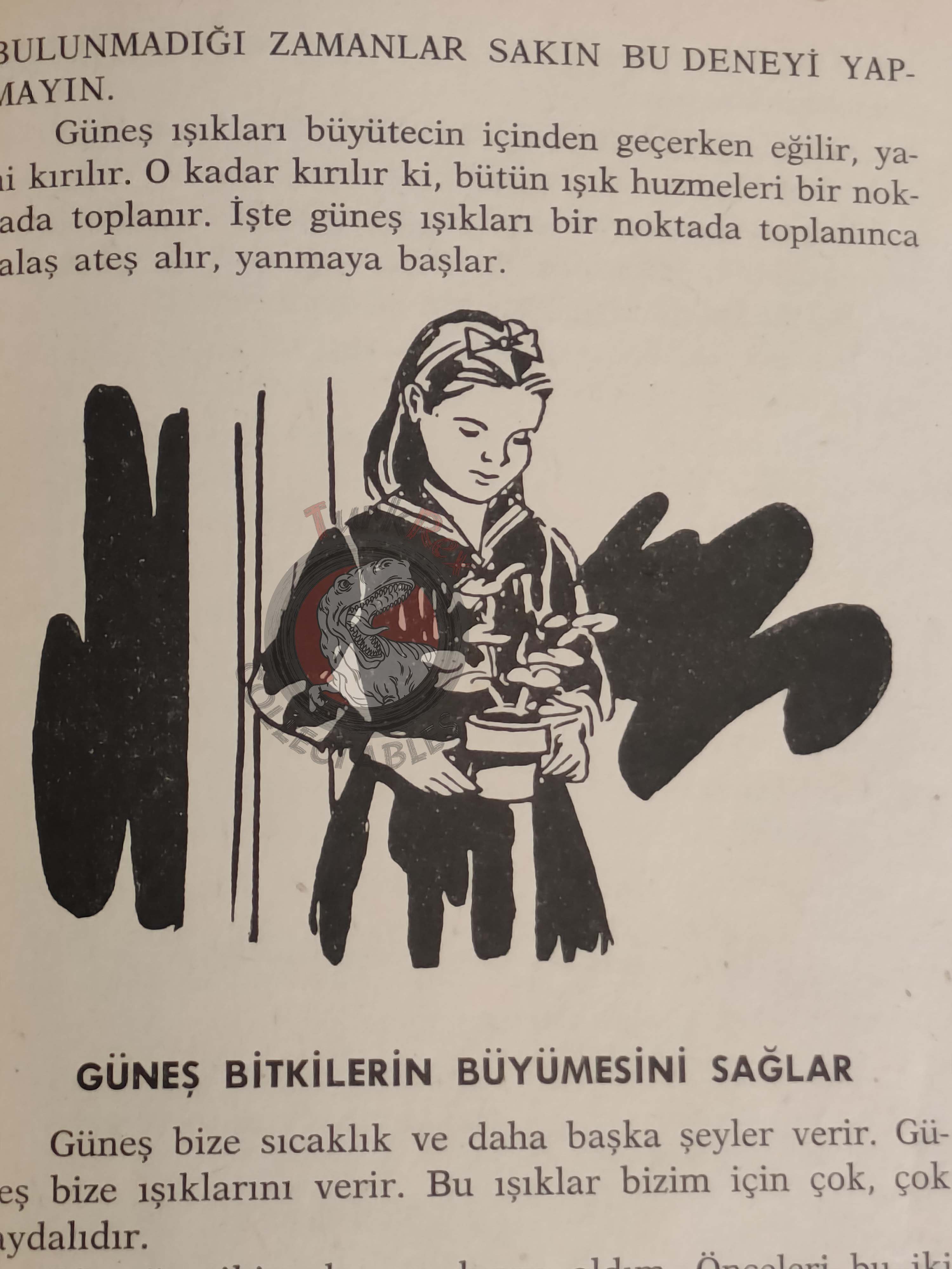 Bertha Morris Parker – Basic Science Education Series 1969 Turkish Book Turkey Sound Sun
