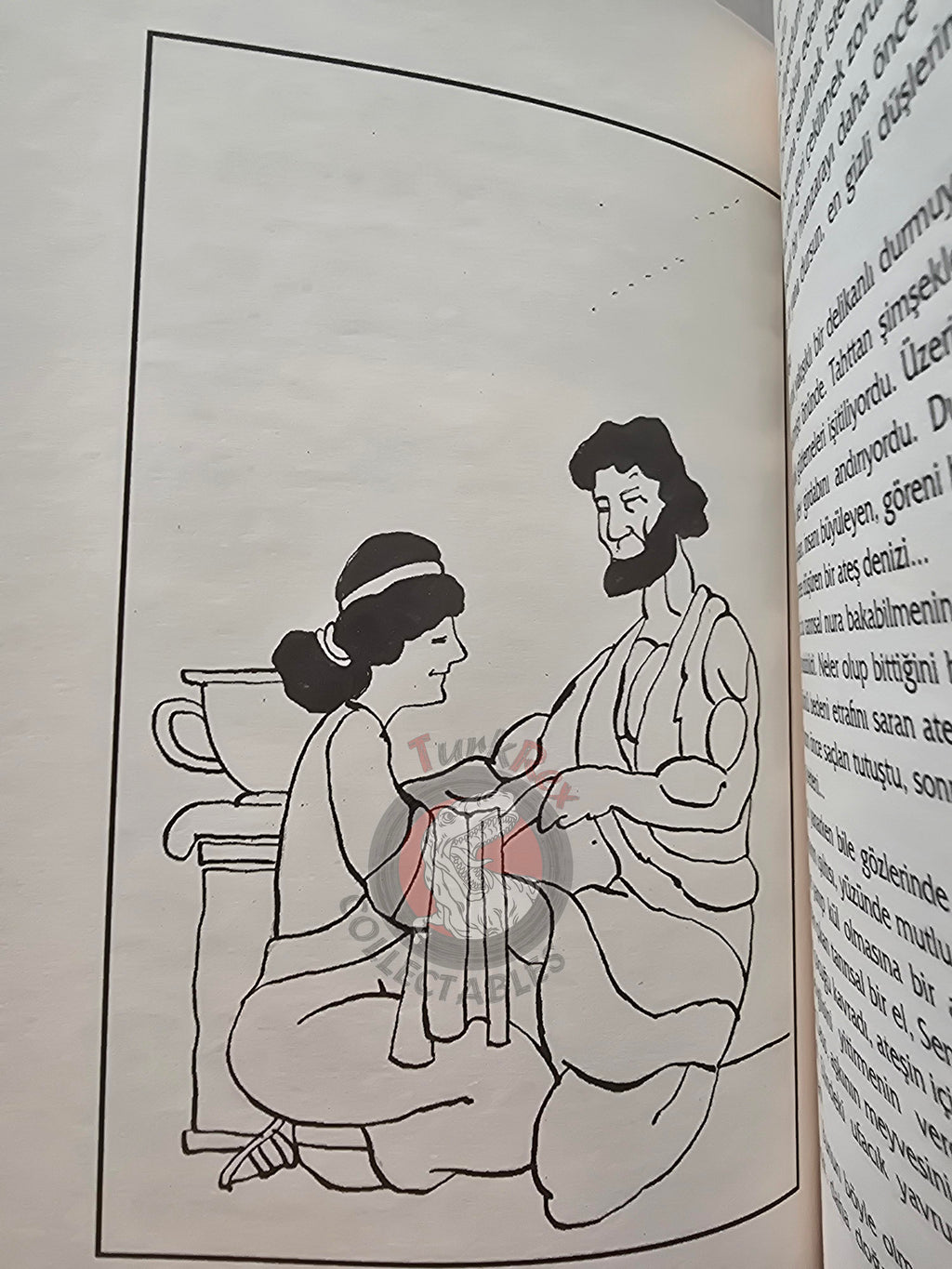 Dionysus – Robert Krugmann 2003 Turkish Book Turkey Illustrated by Turkish Artist