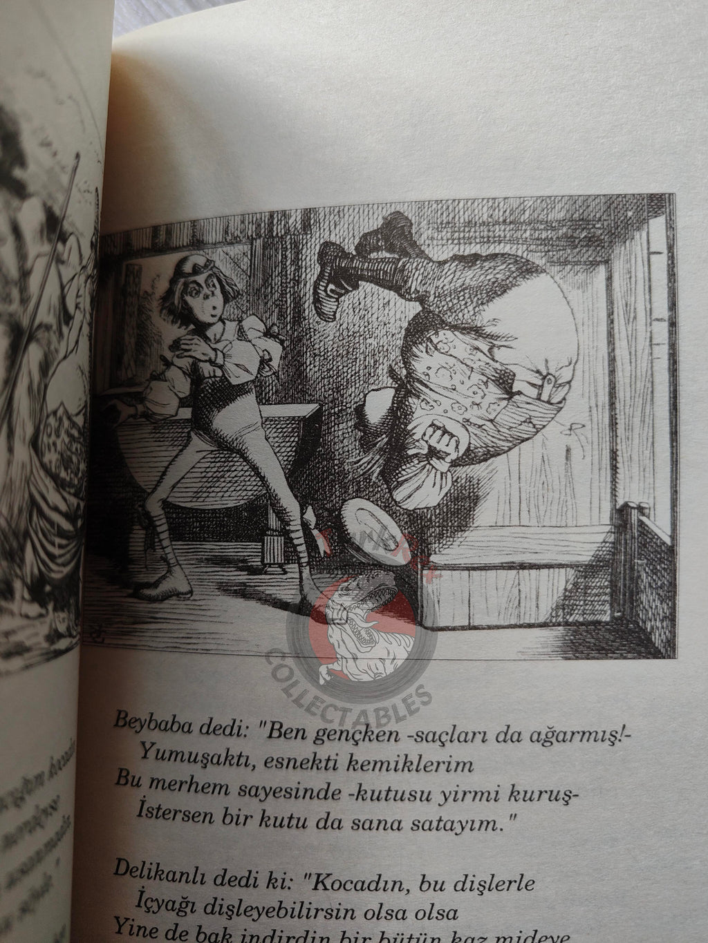 Lewis Carroll – Alice in Wonderland 2008 Turkish Book Turkey Illustrated John Tenniel