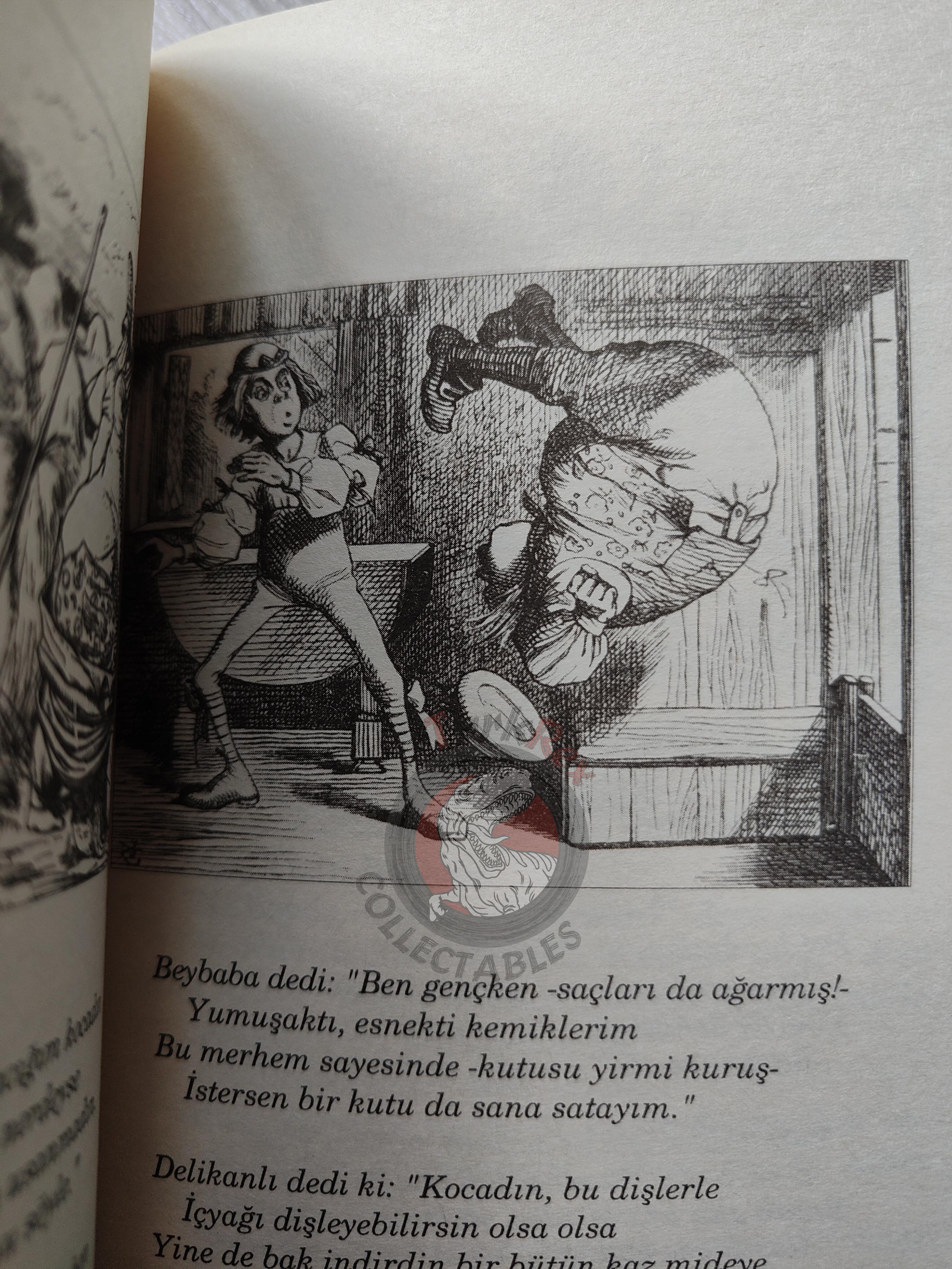 Lewis Carroll – Alice in Wonderland 2008 Turkish Book Turkey Illustrated John Tenniel