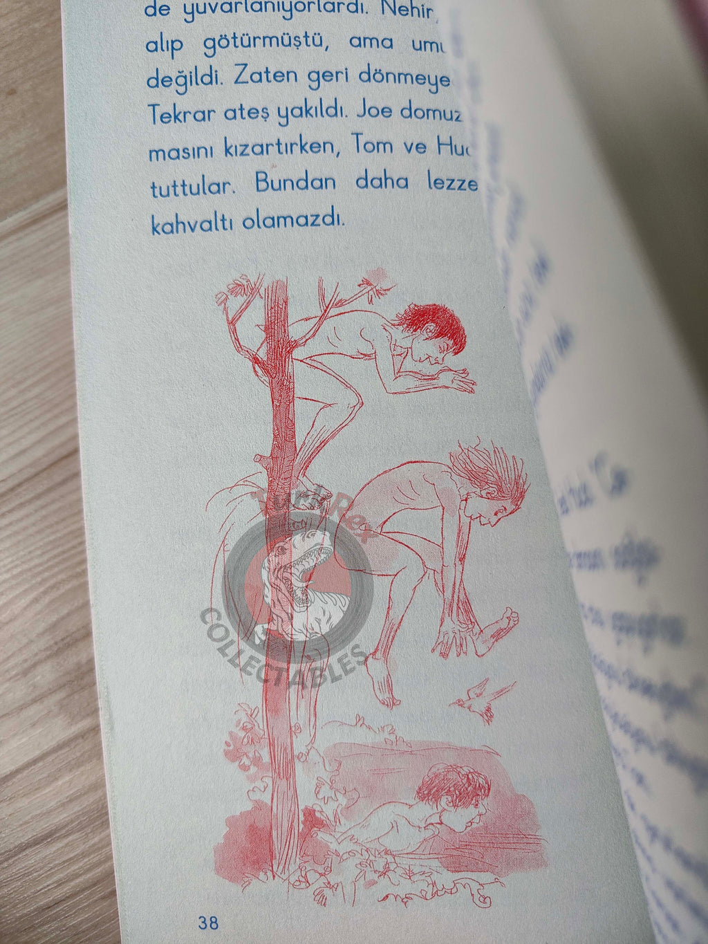 Mark Twain – Tom Sawyer 2010 Turkish Book Turkey Illustrated