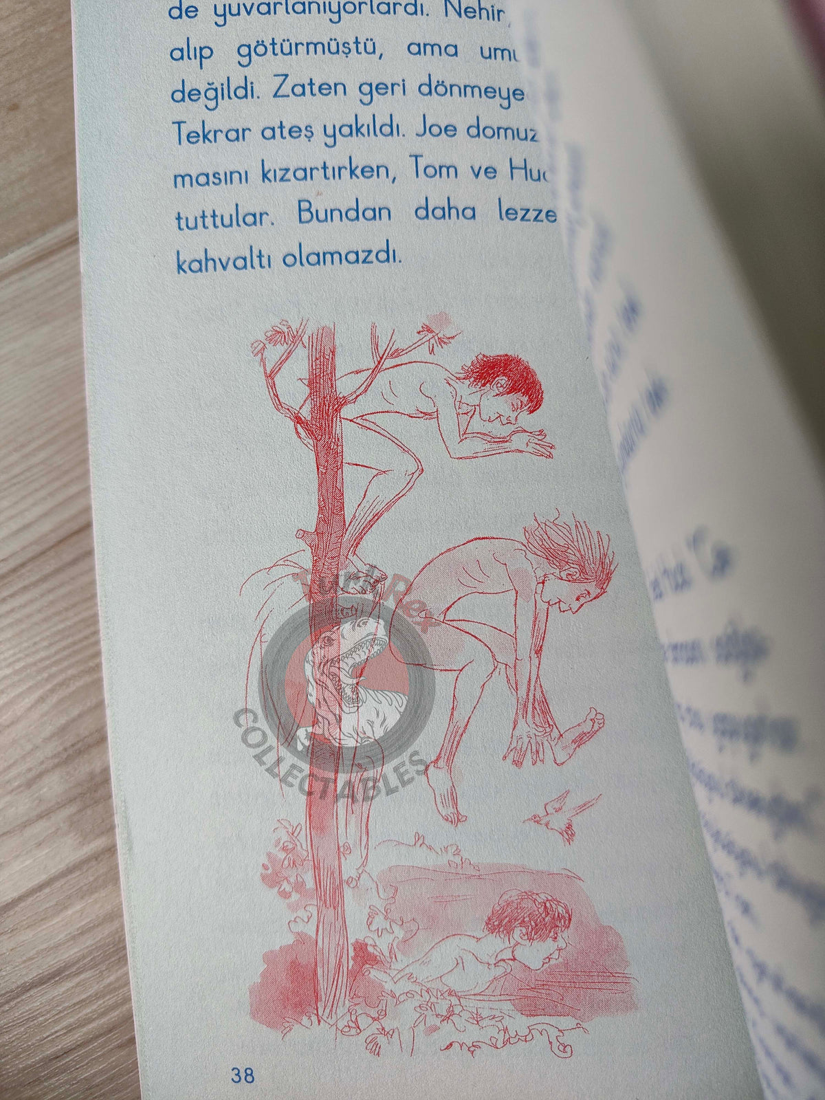 Mark Twain – Tom Sawyer 2010 Turkish Book Turkey Illustrated