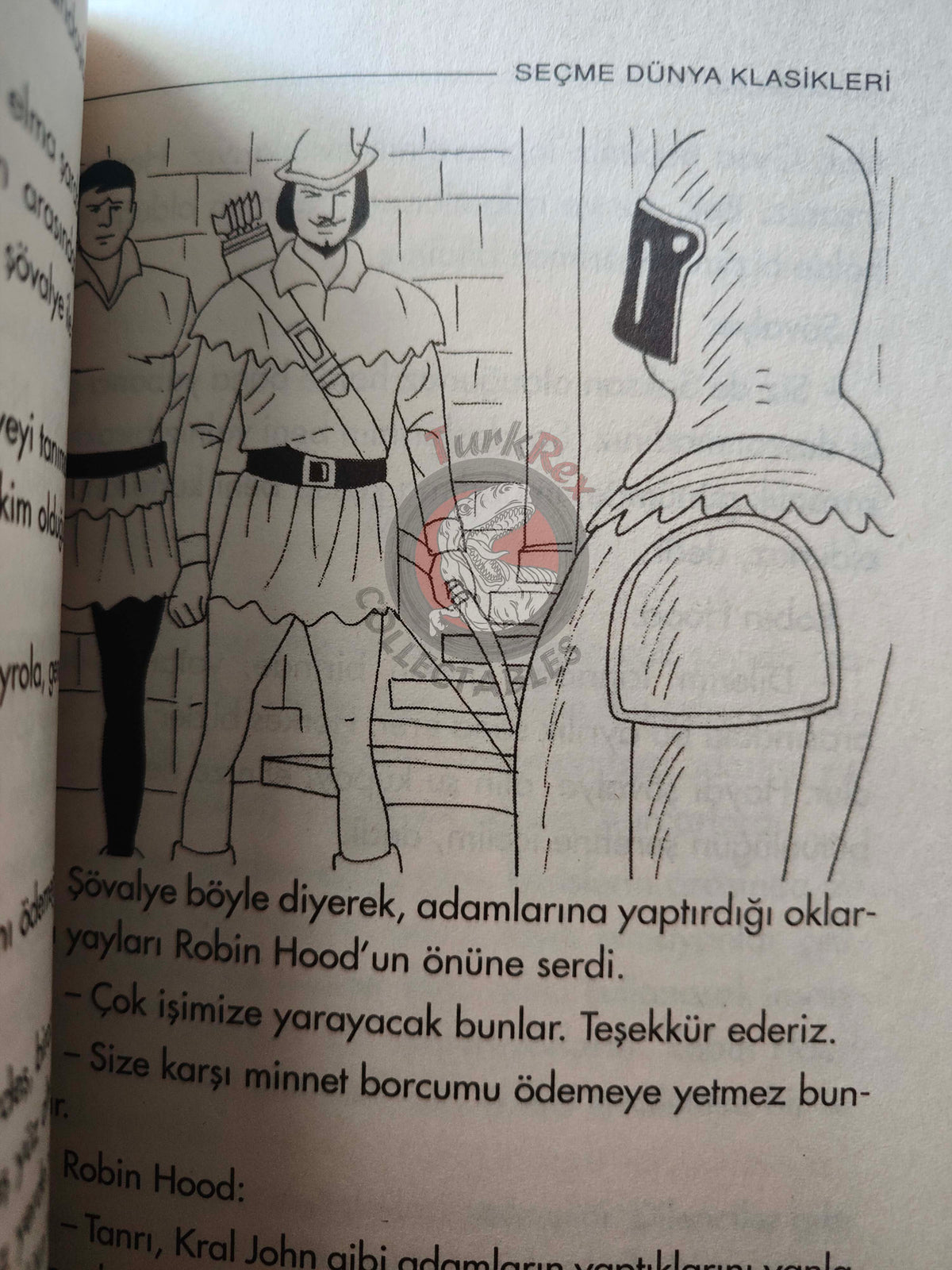 Robin Hood – Howard Pyle 2005 Turkish Book Turkey Illustrated