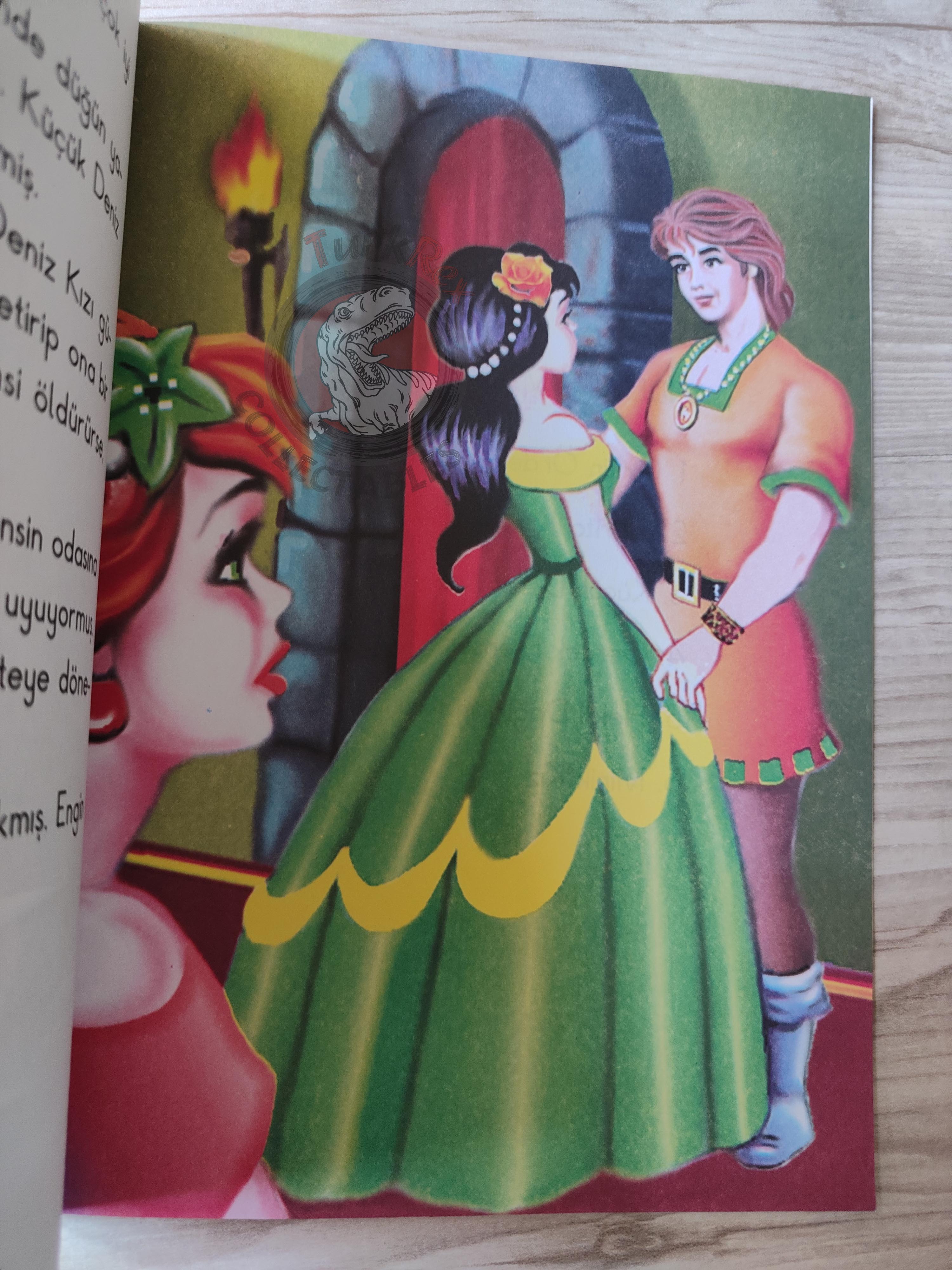Hans Christian Andersen – The Little Mermaid 2003 Turkish Book Turkey Illustrated