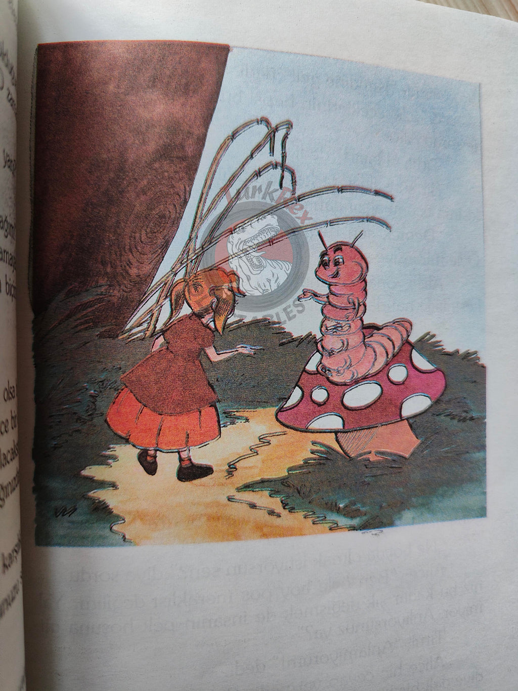 Lewis Carroll – Alice in Wonderland 1996 Turkish Book Turkey Illustrated