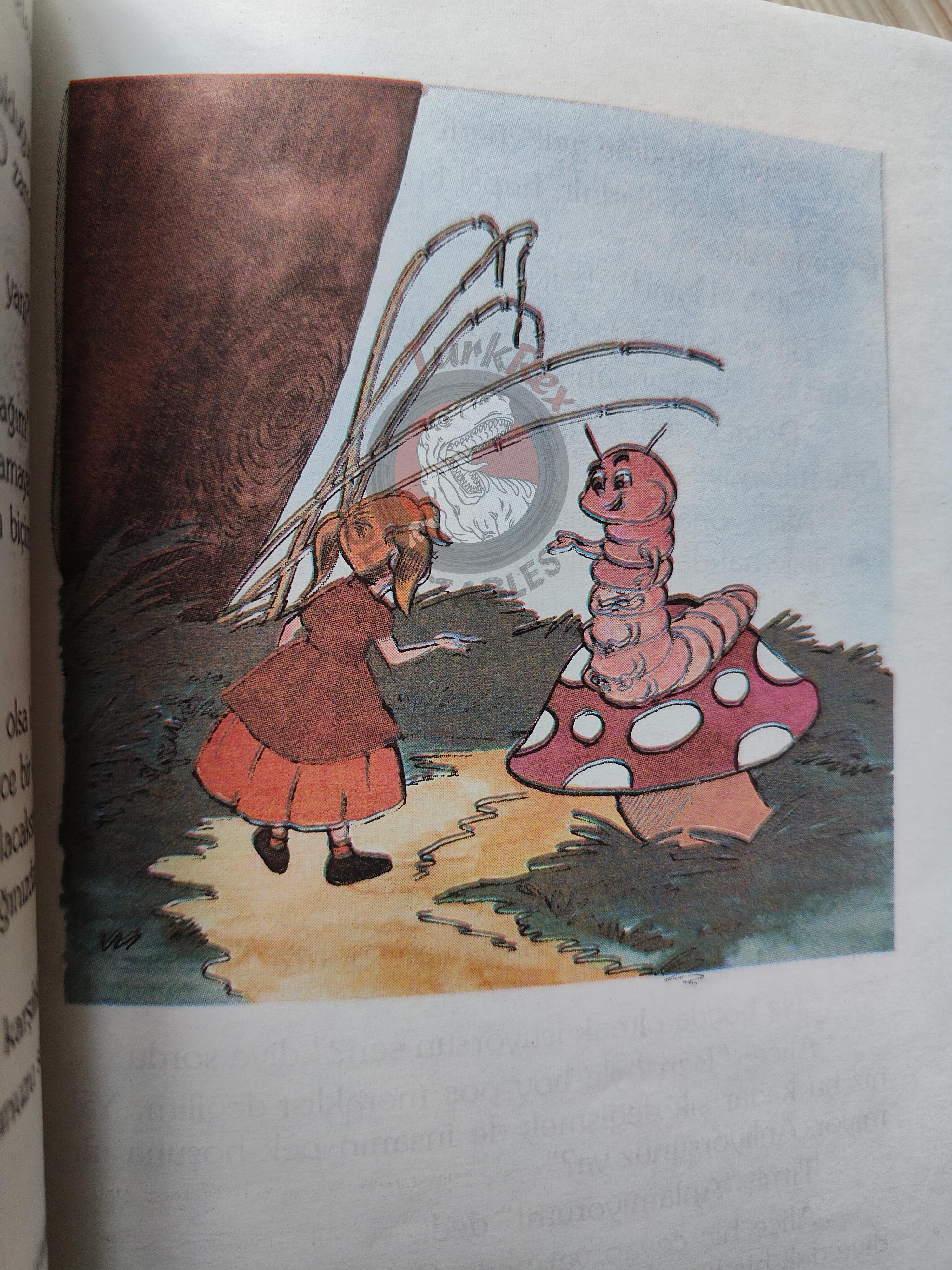 Lewis Carroll – Alice in Wonderland 1996 Turkish Book Turkey Illustrated