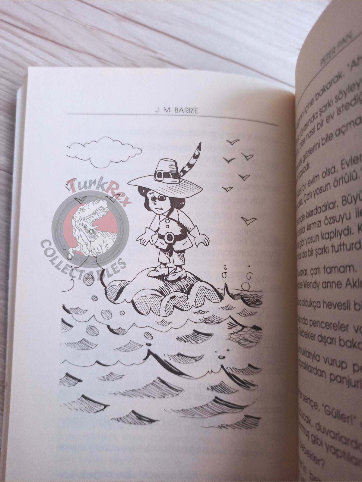 J. M. Barrie – Peter Pan 2005 Turkish Book Turkey Illustrated 3