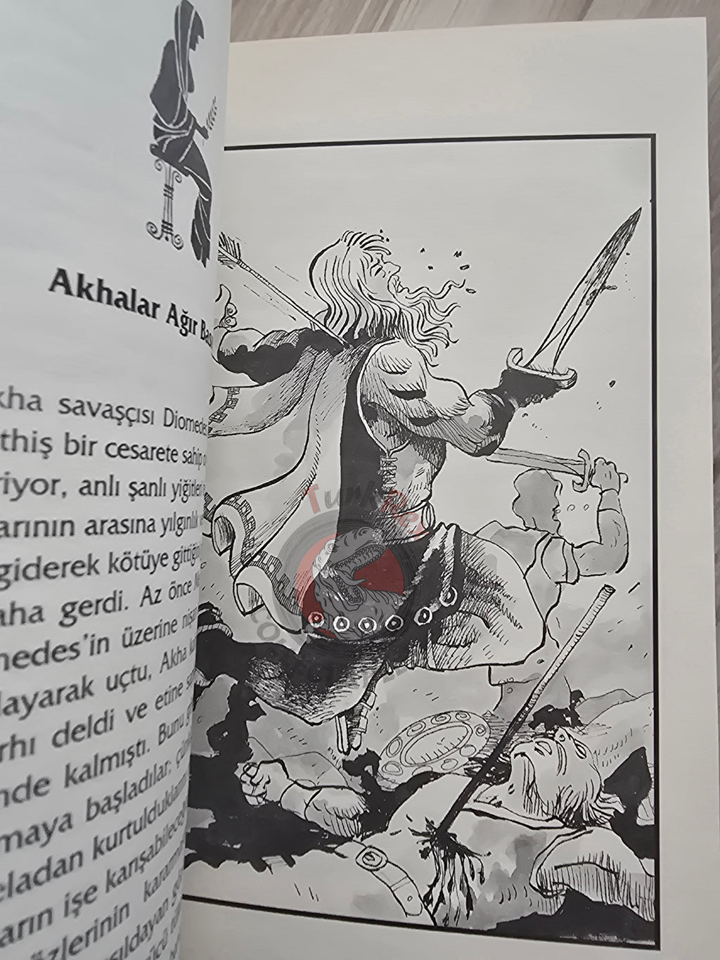 Iliad – Robert Krugmann 2003 Turkish Book Turkey Illustrated by Turkish Artist