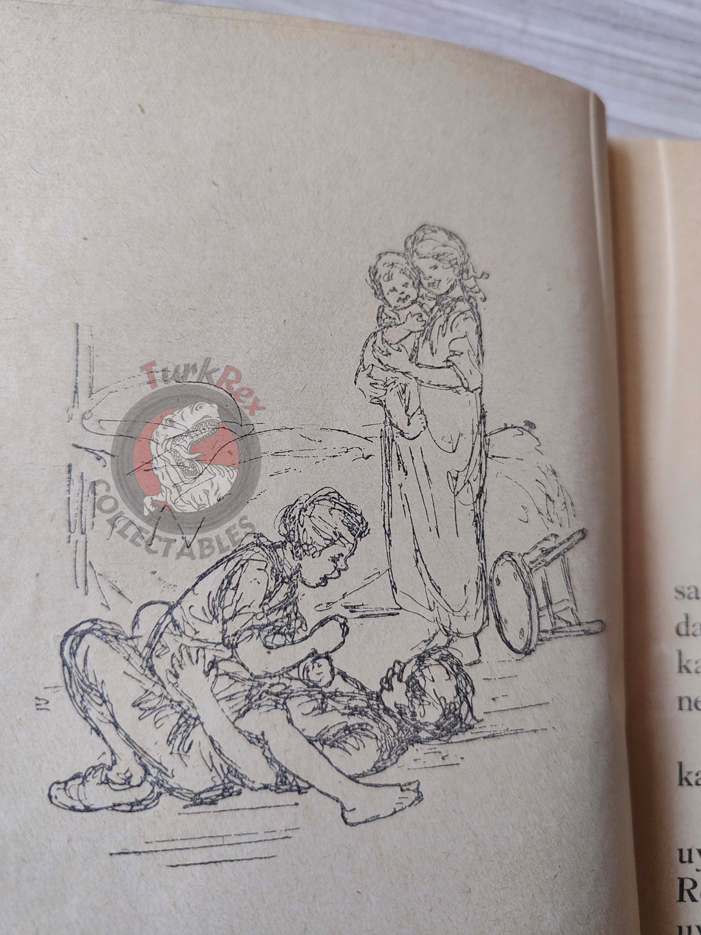 Lucy Fitch Perkins – The Swiss Twins 1929 Turkish Book Turkey Illustrated