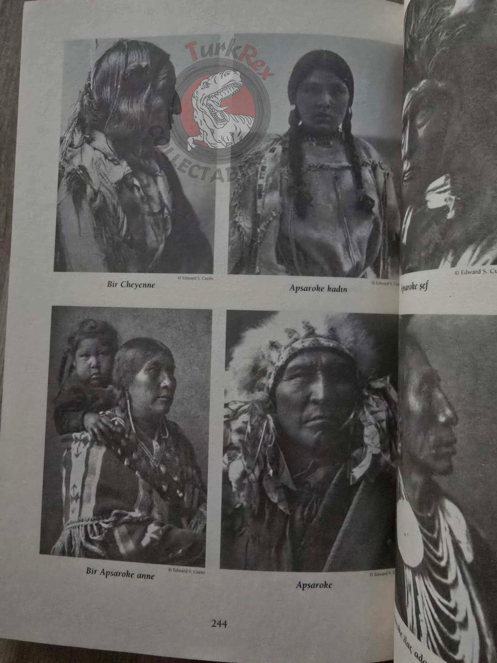 Eagles Were Flying Over Endless Lands American Indian Turkish Book Turkey