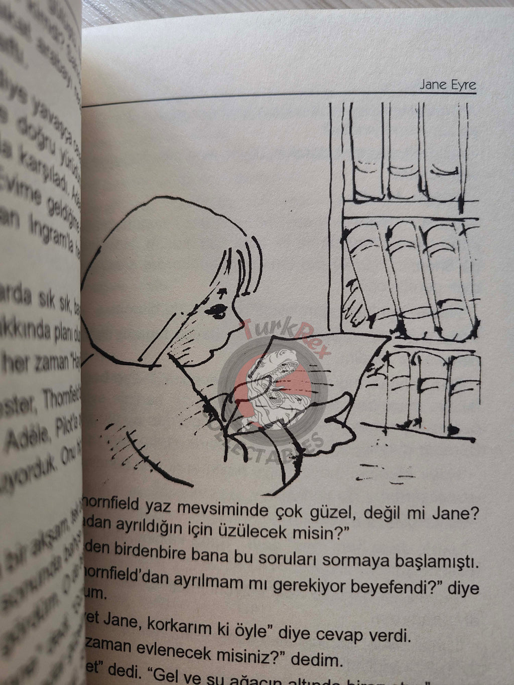Charlotte Brontë – Jane Eyre 2011 Turkish Book Turkey Illustrated
