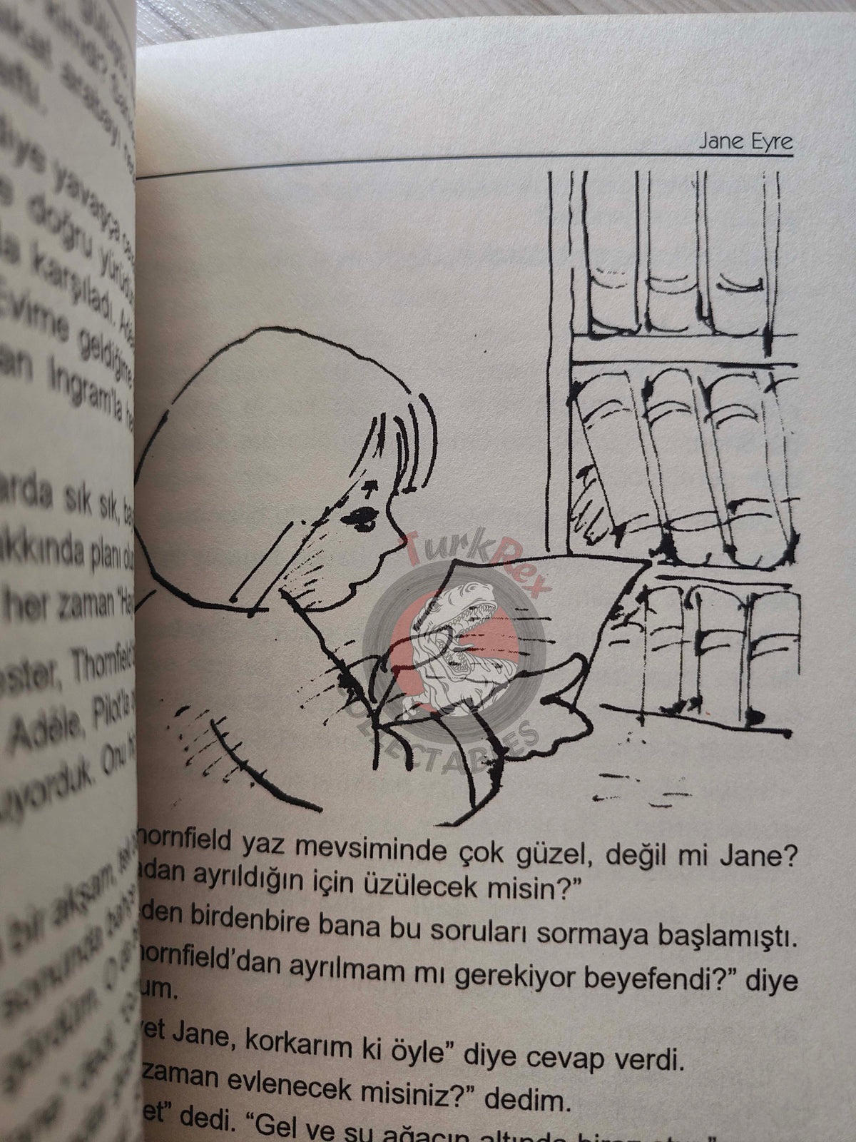 Charlotte Brontë – Jane Eyre 2011 Turkish Book Turkey Illustrated