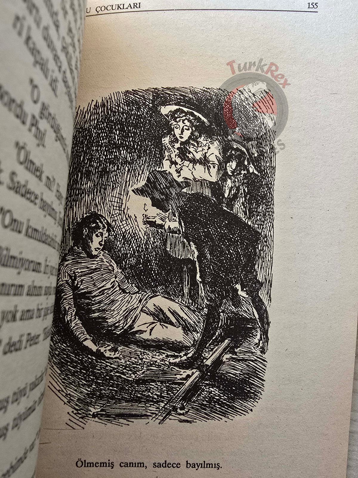 Edith Nesbit – The Railway Children 1991 Turkish Book Turkey Illustrated