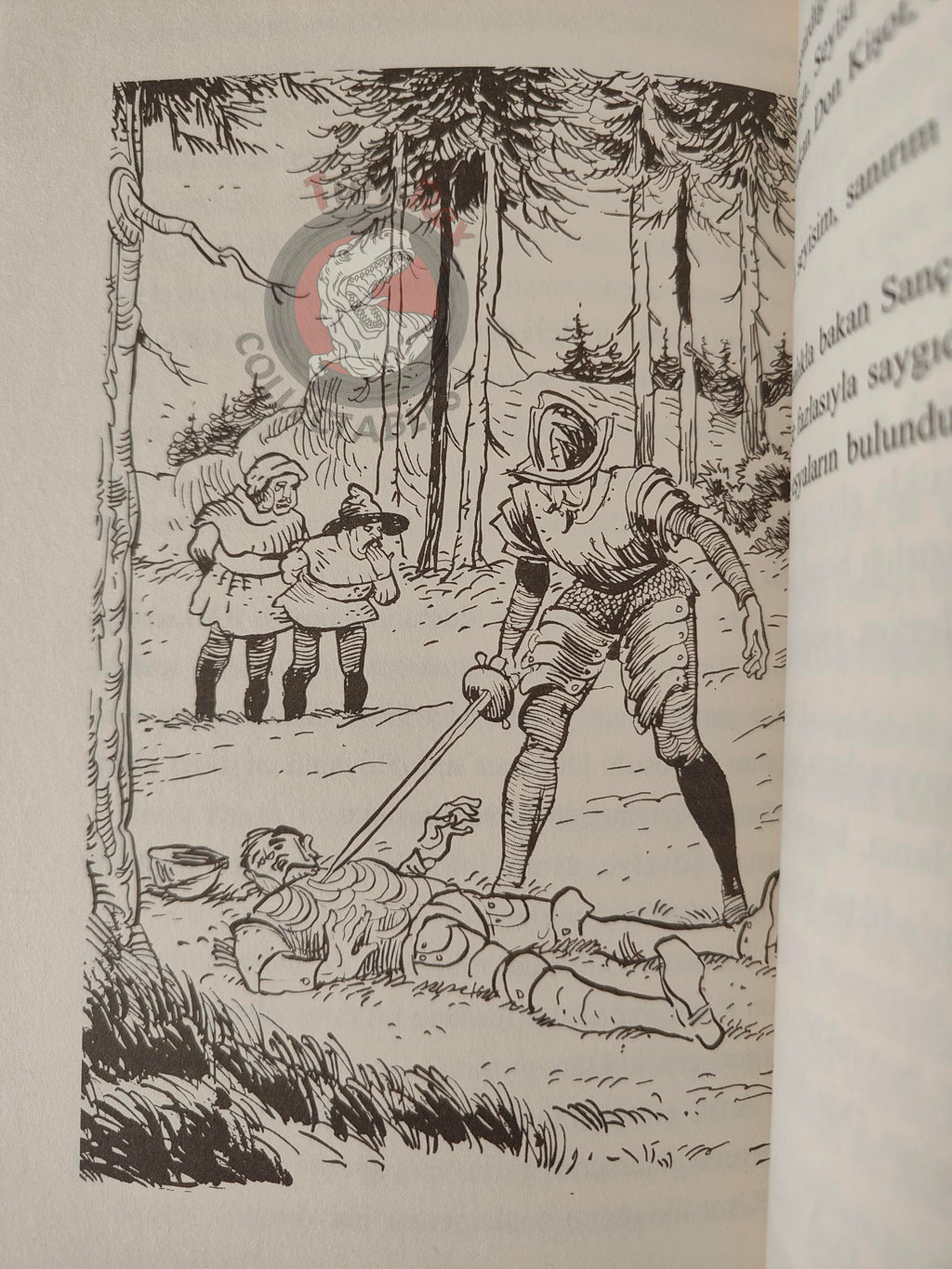 Miguel de Cervantes – Don Quixote 2013 Turkish Book Turkey Illustrated
