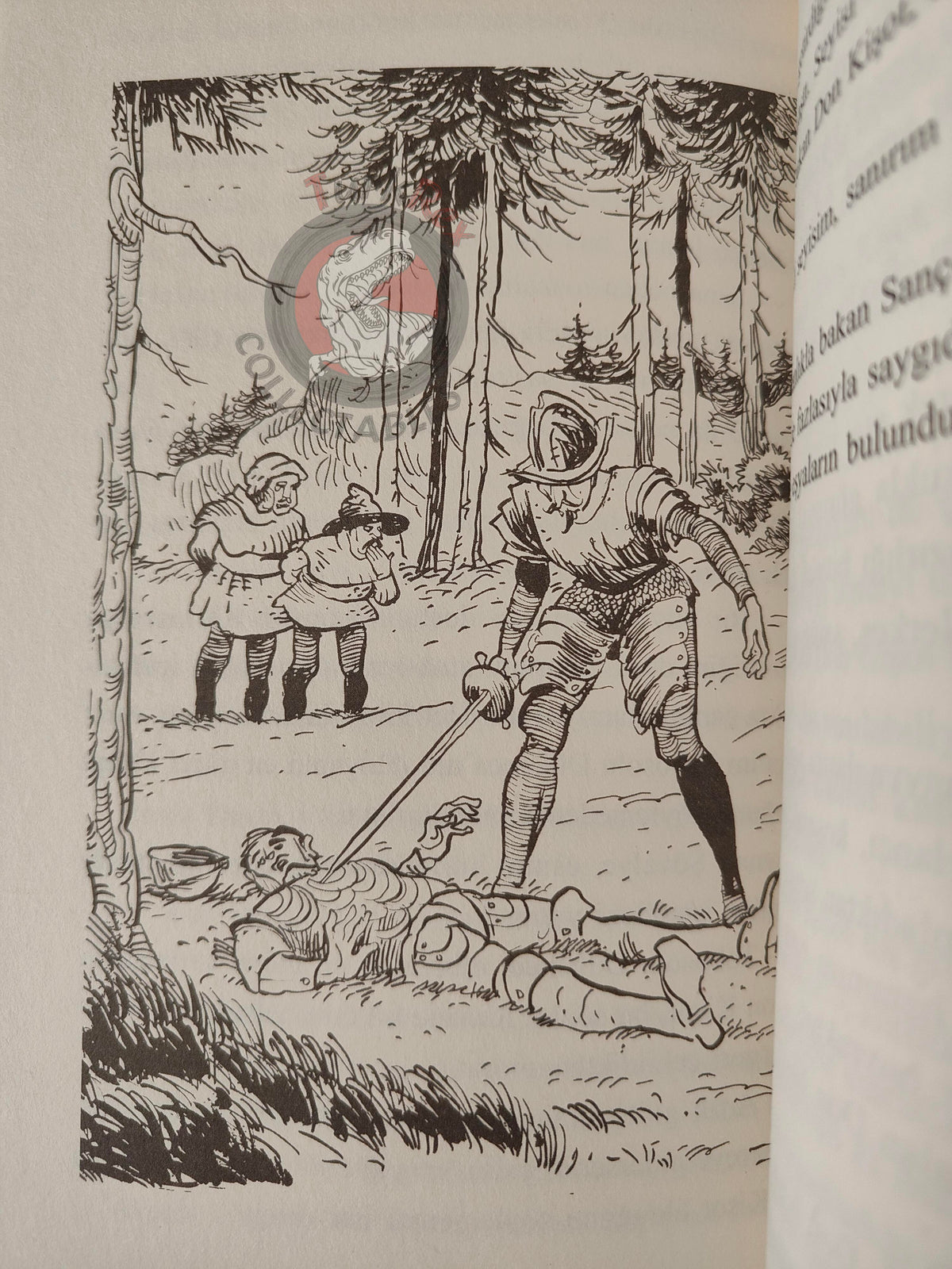 Miguel de Cervantes – Don Quixote 2013 Turkish Book Turkey Illustrated