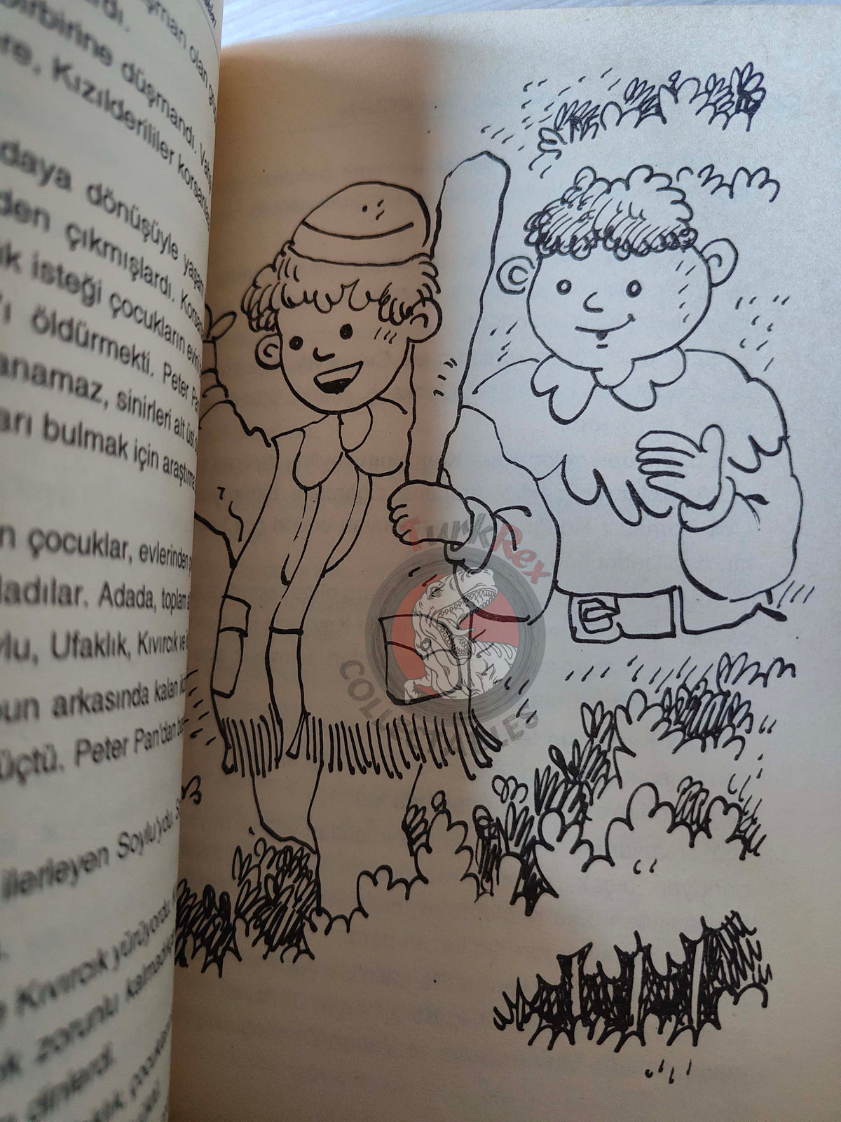 J. M. Barrie – Peter Pan 2001 Turkish Book Turkey Illustrated