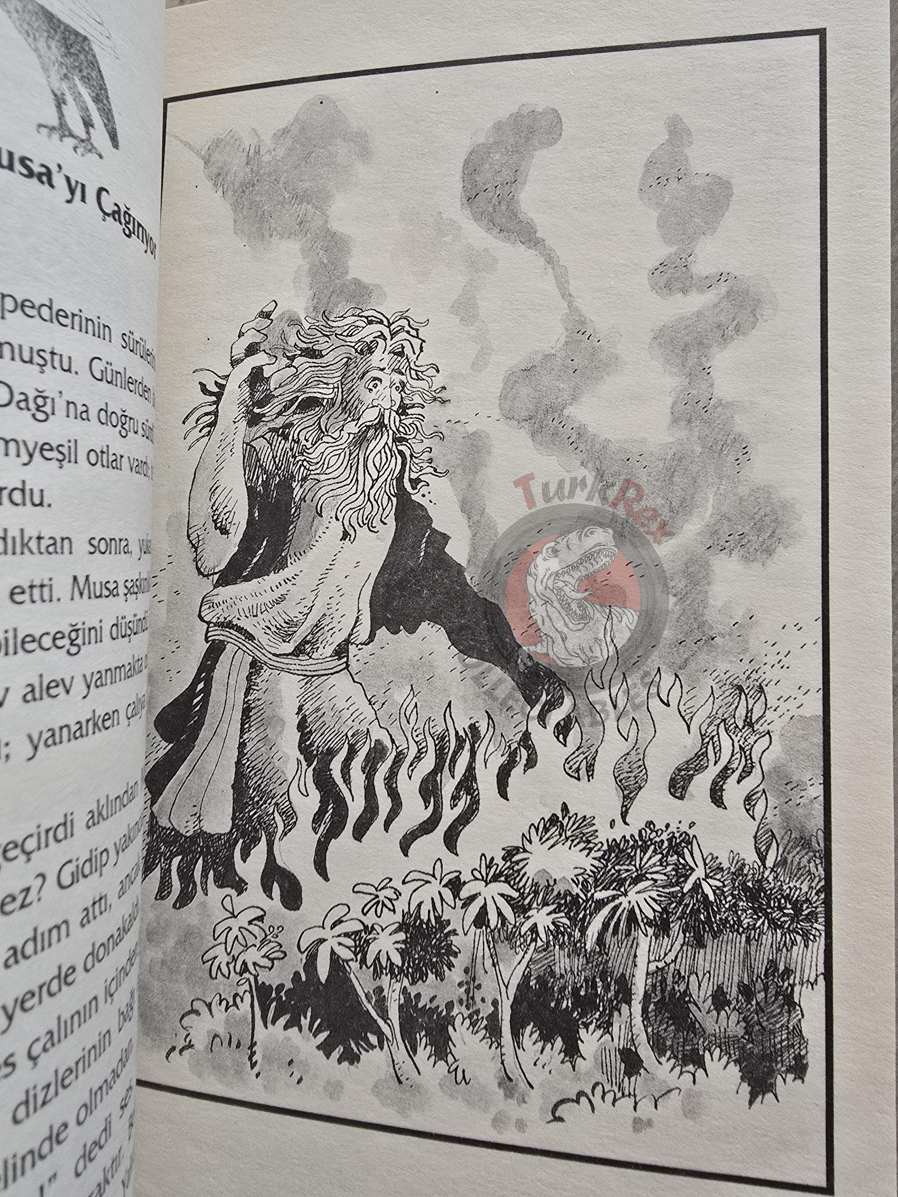 Moses – Albert Hirsch 2003 Turkish Book Turkey Illustrated by Turkish Artist