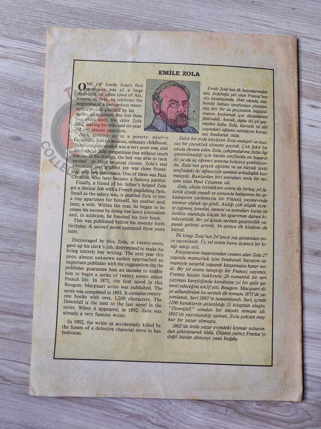 The Downfall  –  Emile Zola Turkish Comic Turkey Classics Illustrated