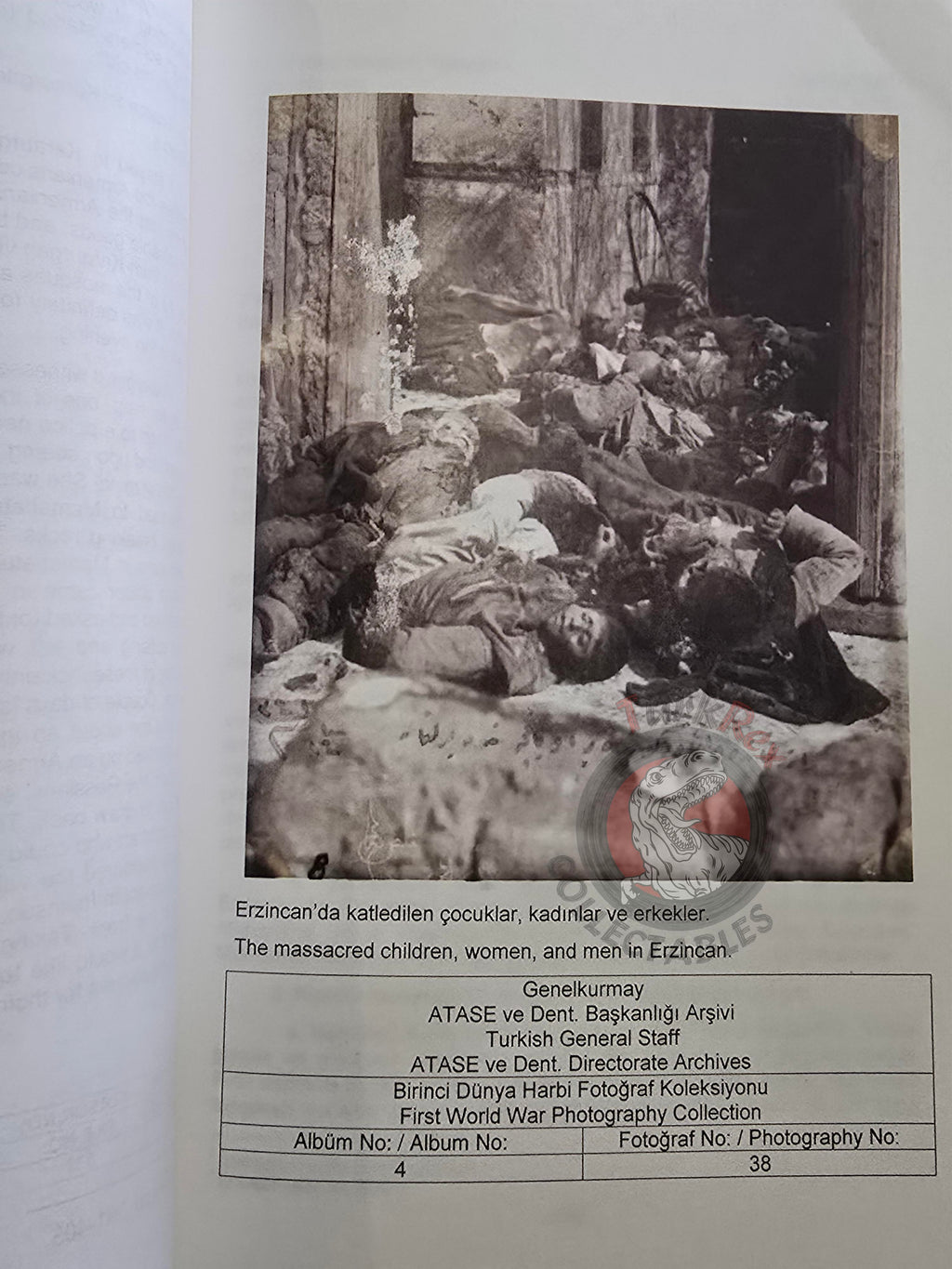 Armenian Activities in the Archive Documents 1914–1918 Turkish Book Turkey Armenia English