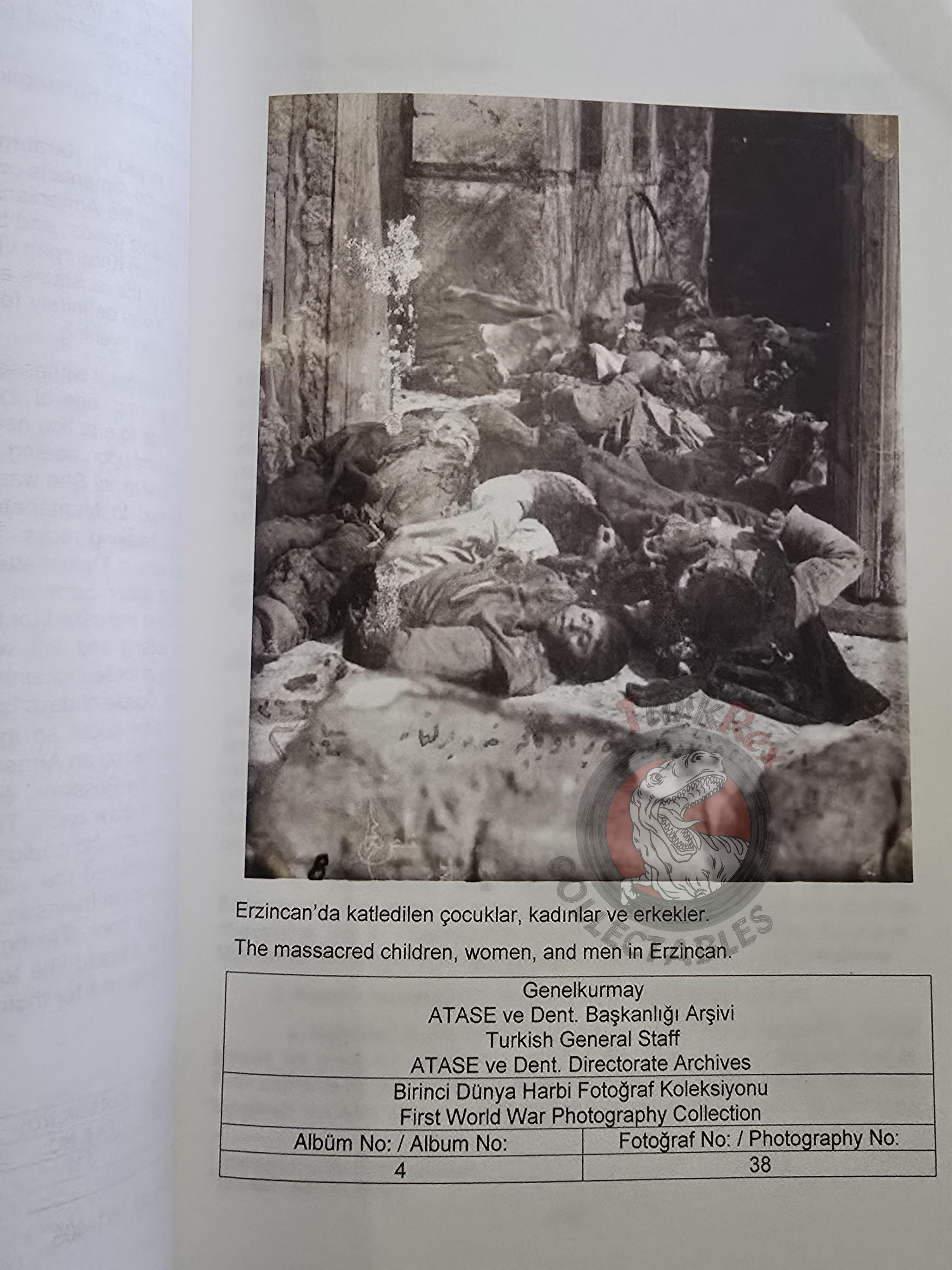 Armenian Activities in the Archive Documents 1914–1918 Turkish Book Turkey Armenia English