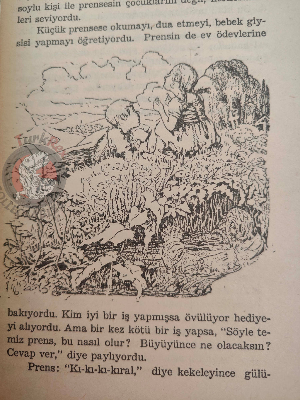 Richard Leander – The Wishing Ring 1969 Turkish Book Turkey Illustrated